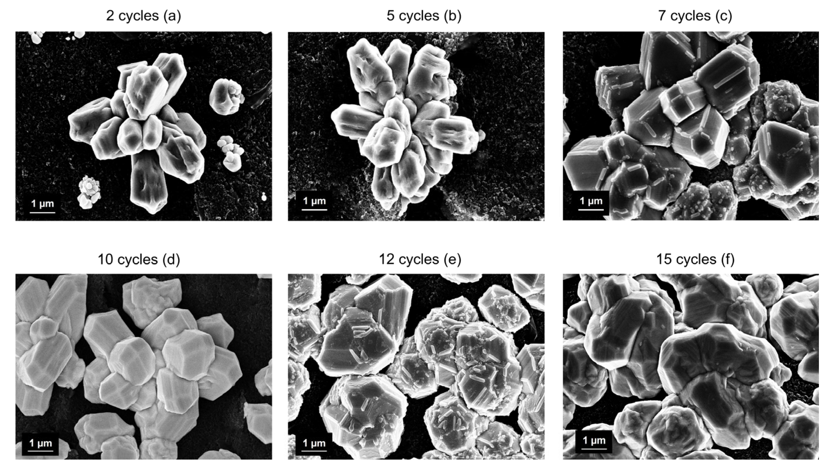 Nanomaterials 14 01704 g003