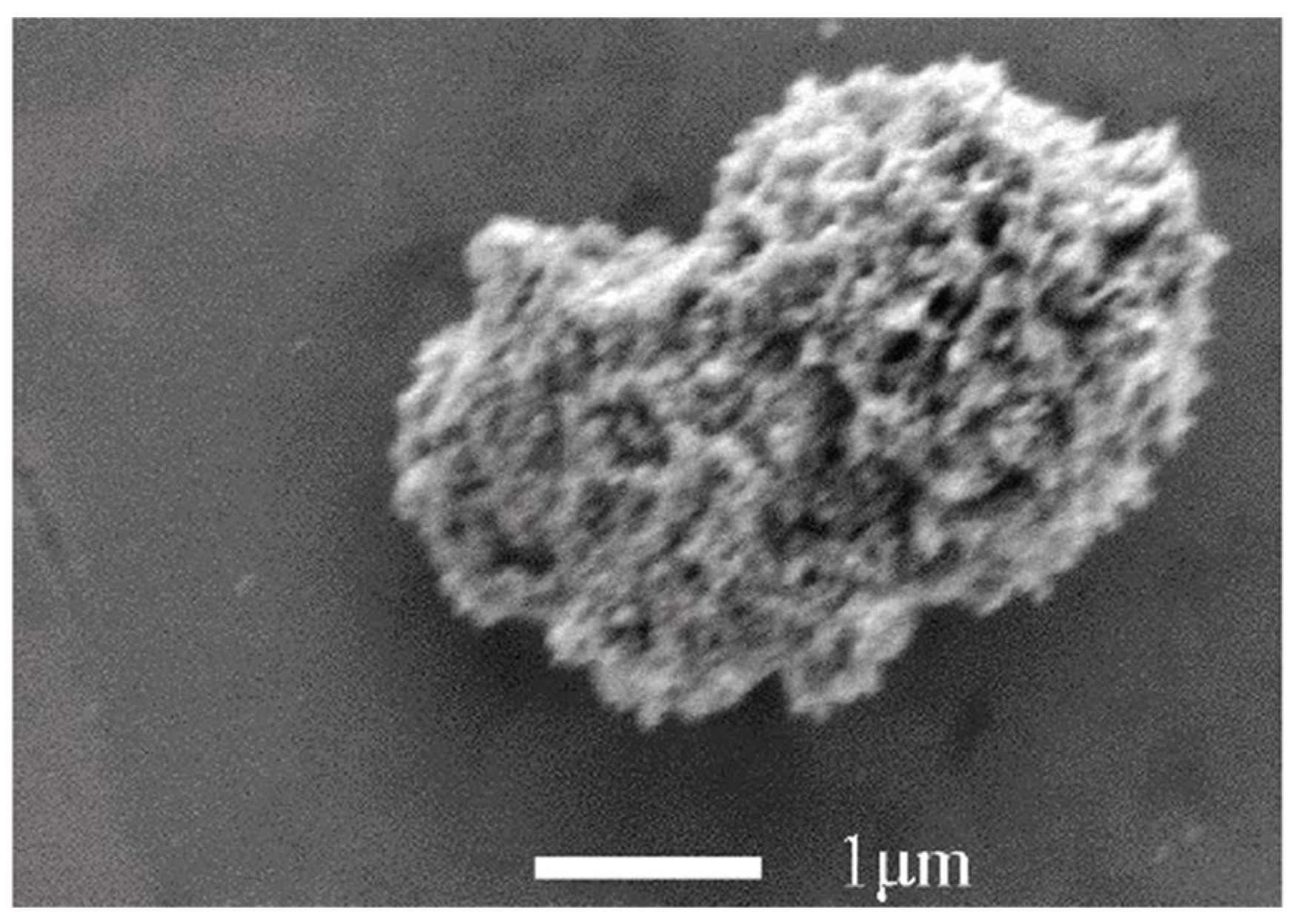 Nanomaterials 14 01707 g018