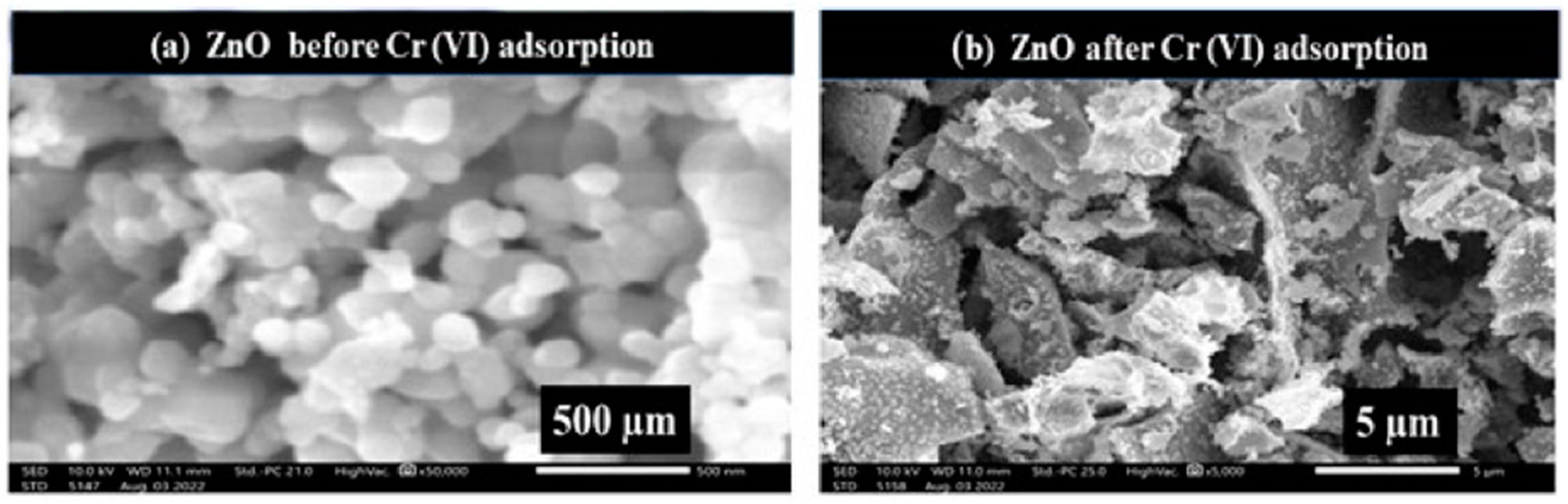 Nanomaterials 14 01707 g023