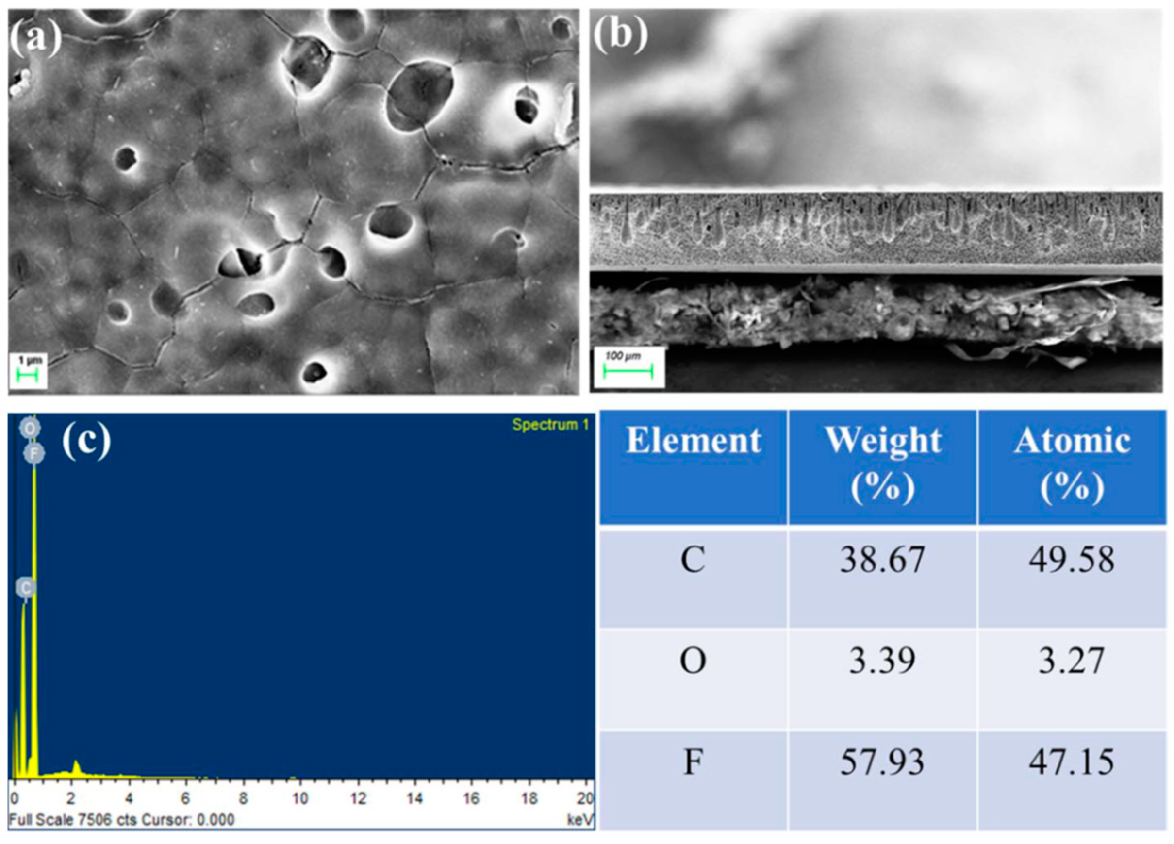 Nanomaterials 14 01707 g028