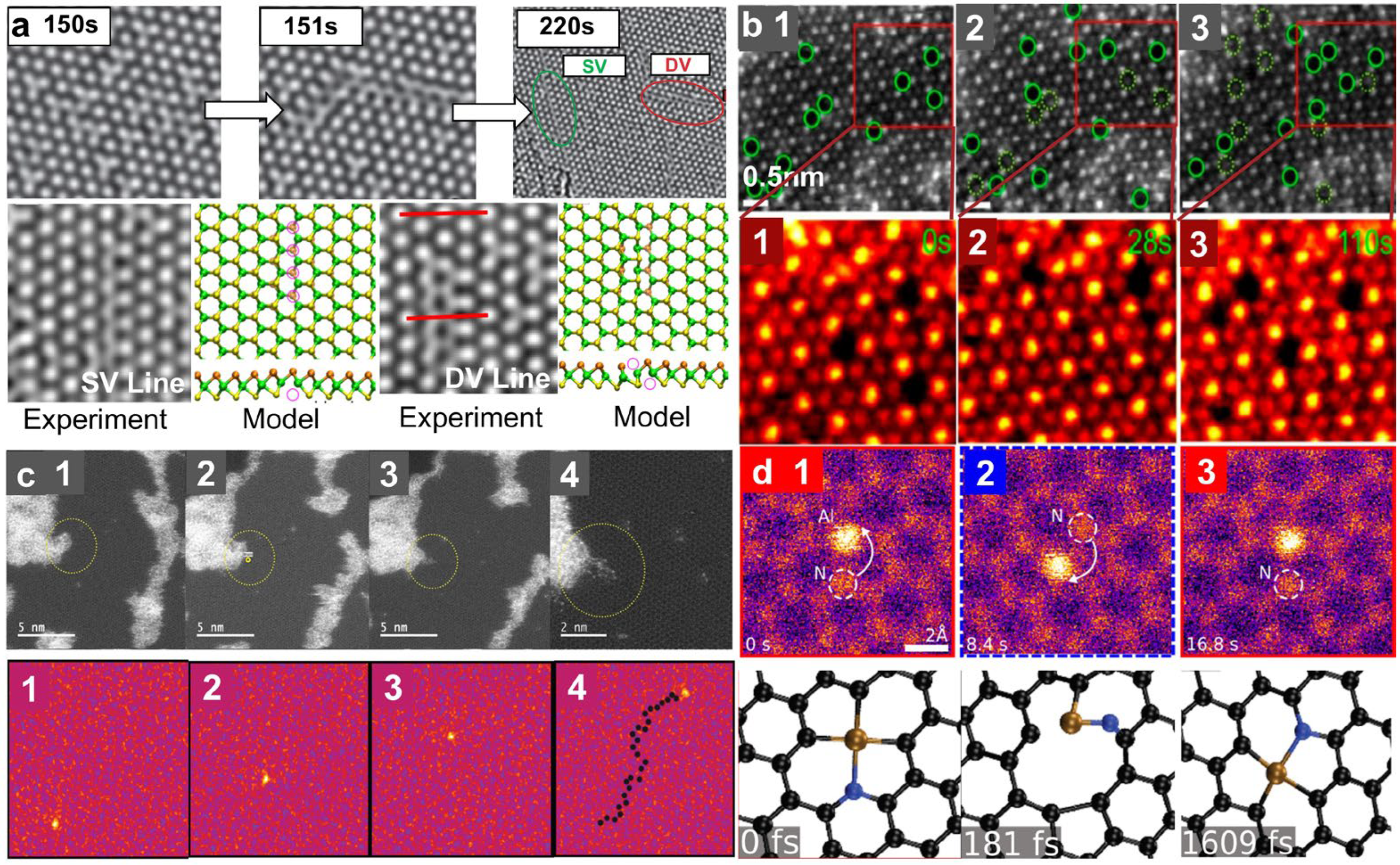 Nanomaterials 14 01718 g004