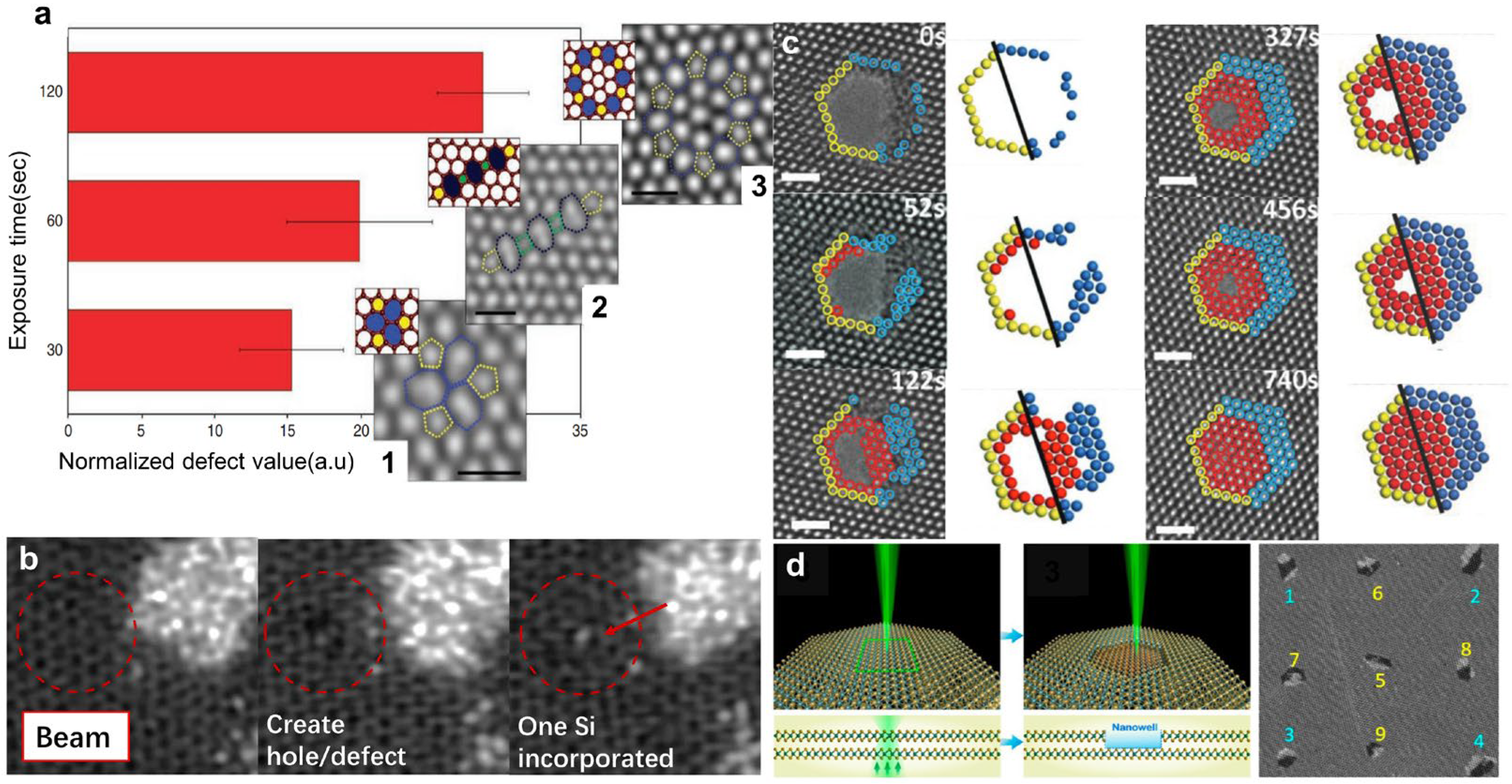 Nanomaterials 14 01718 g005