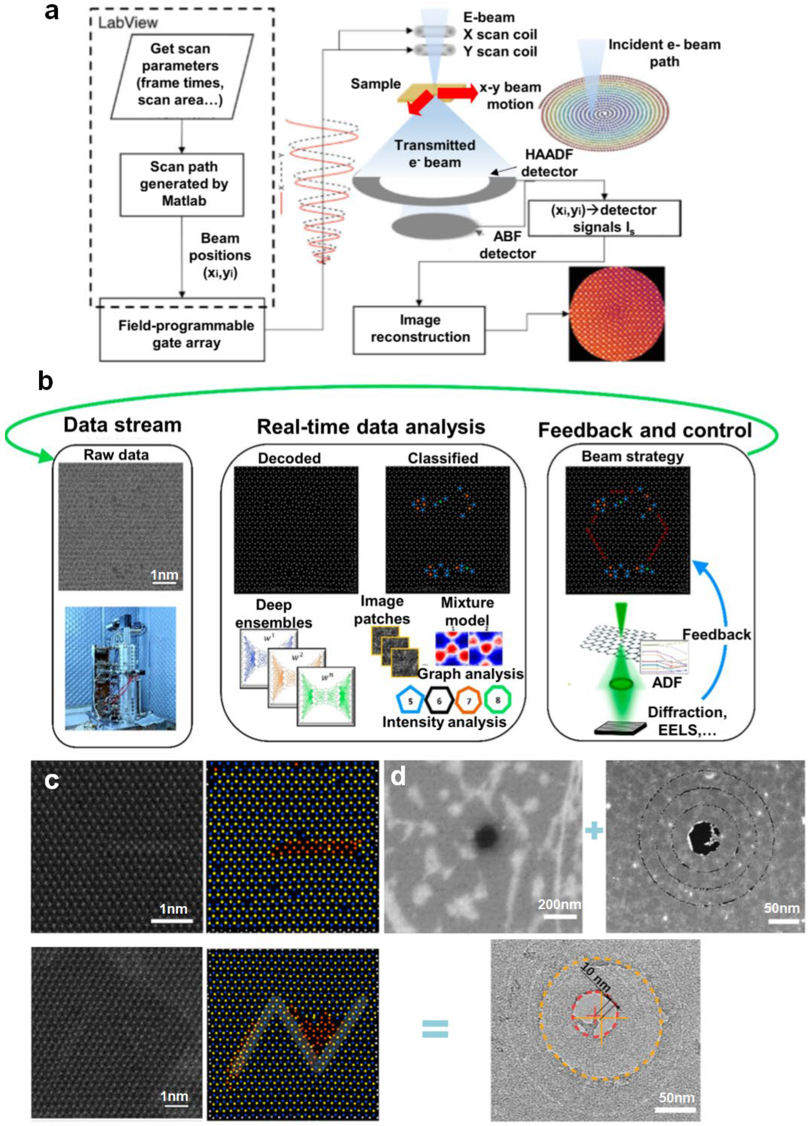 Nanomaterials 14 01718 g008