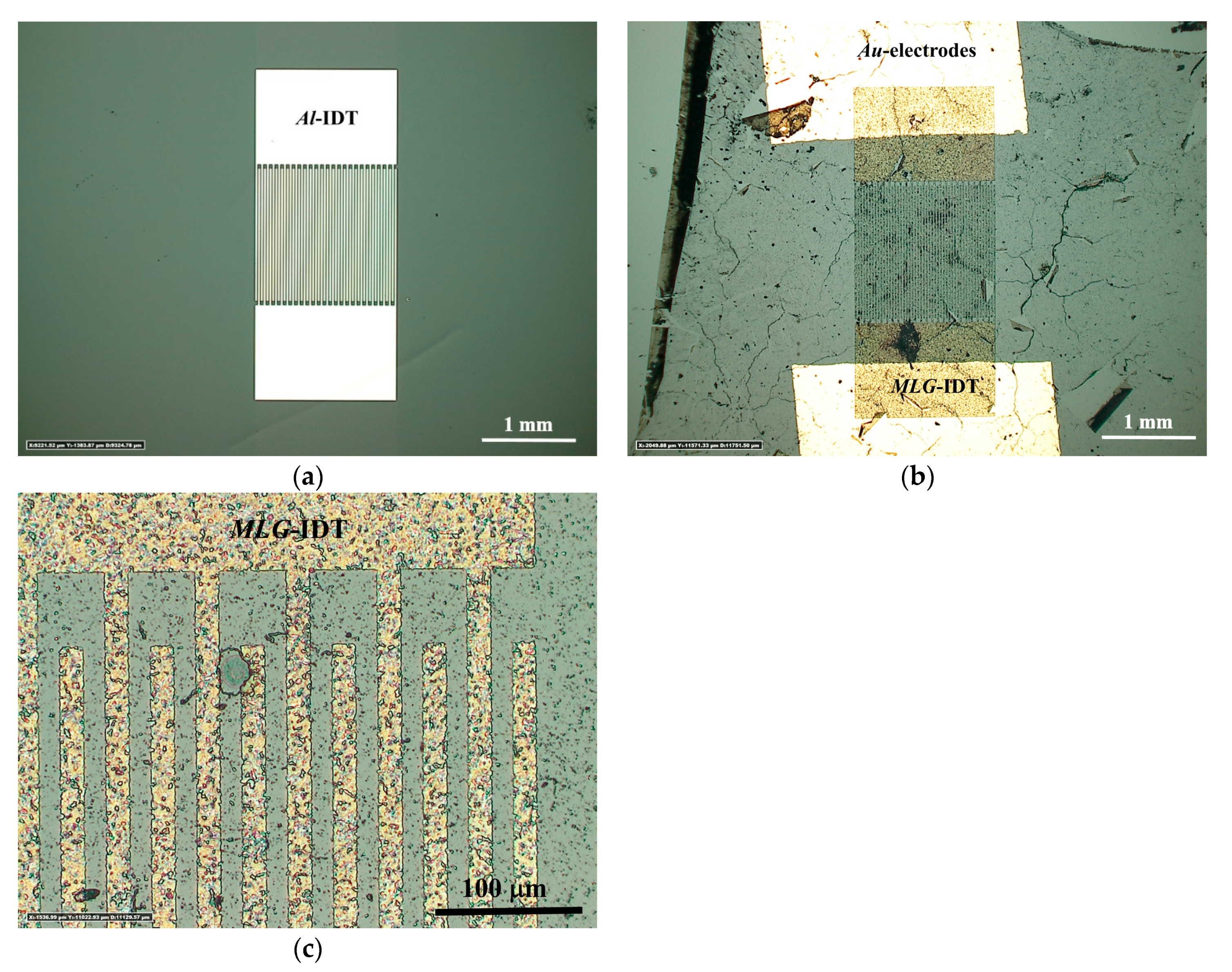 Nanomaterials 14 01720 g003