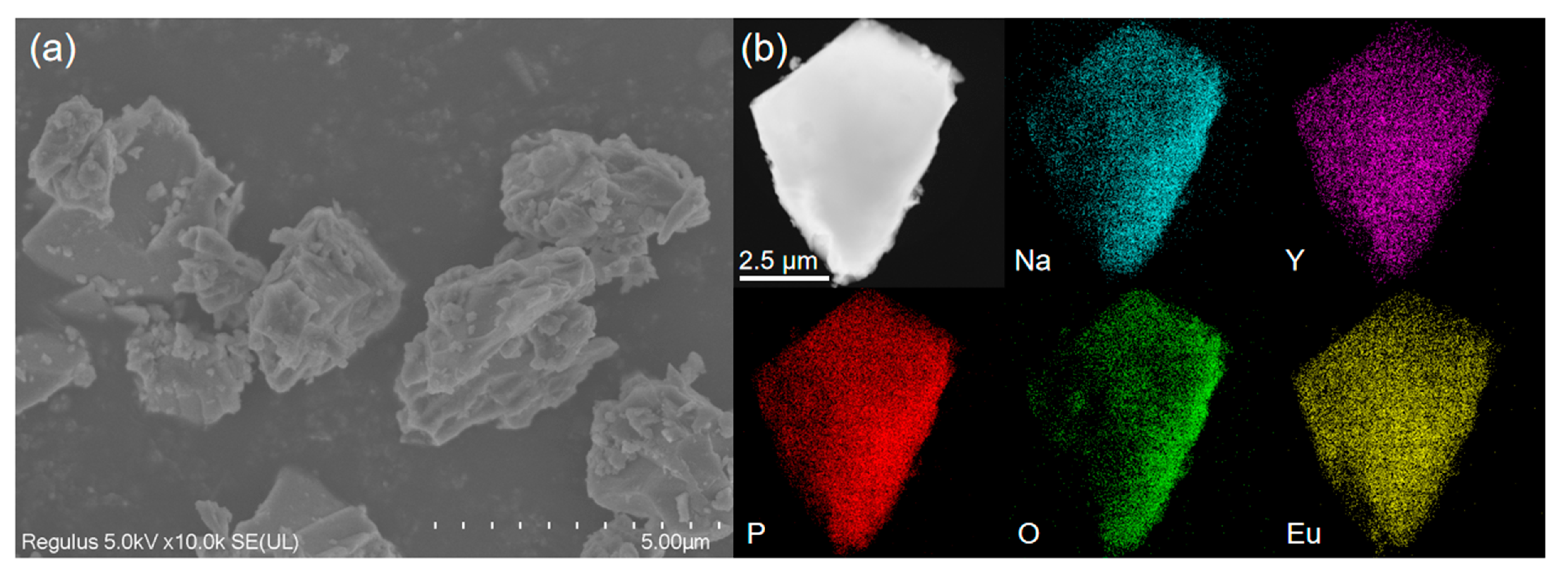 Nanomaterials 14 01721 g002