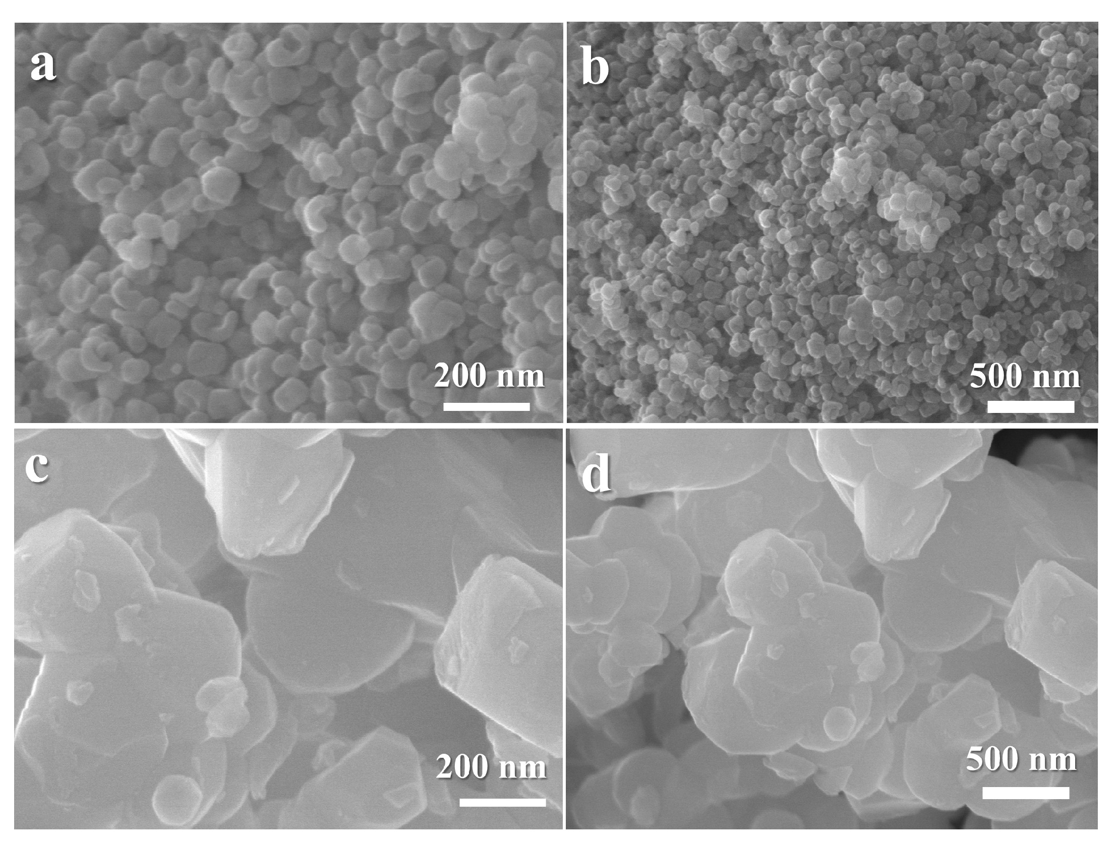 Nanomaterials 14 01723 g002