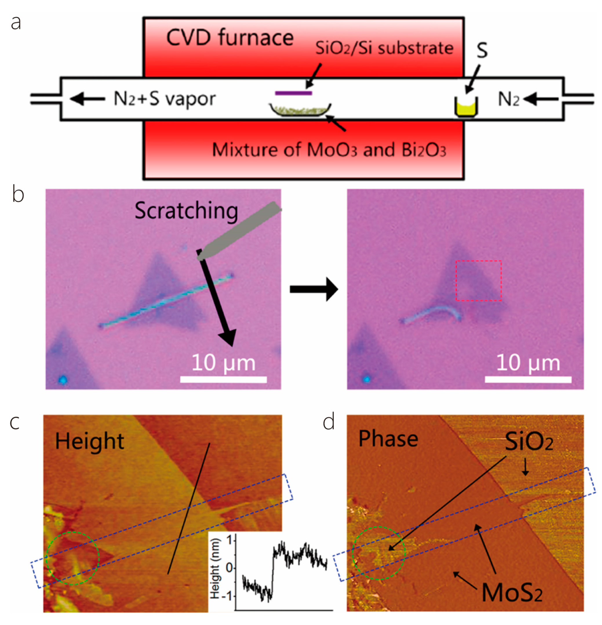 Nanomaterials 14 01724 g004 Nanomaterials 14 01724 g004