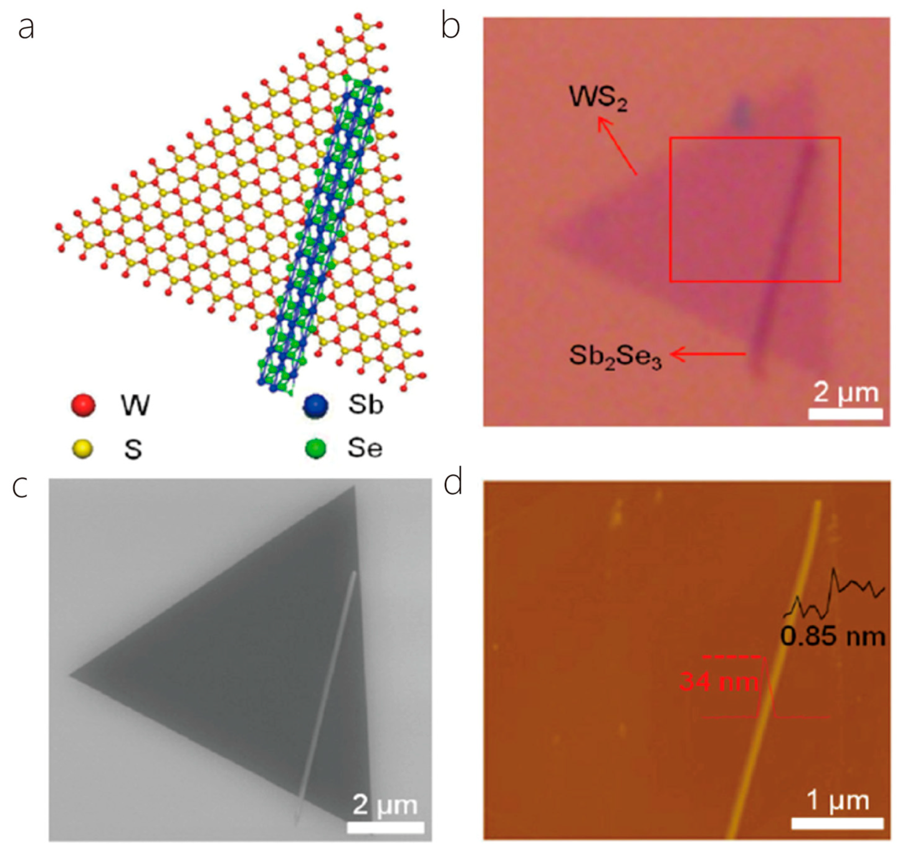 Nanomaterials 14 01724 g011 Nanomaterials 14 01724 g011