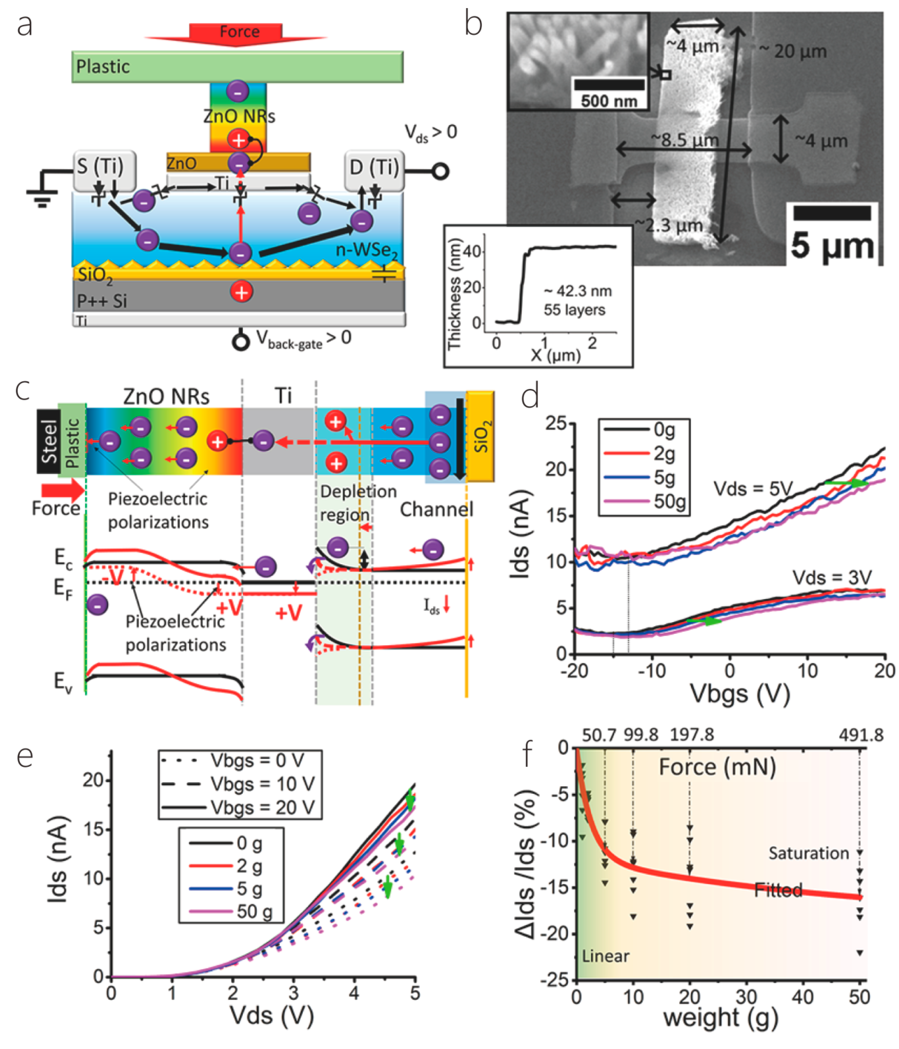 Nanomaterials 14 01724 g021 Nanomaterials 14 01724 g021