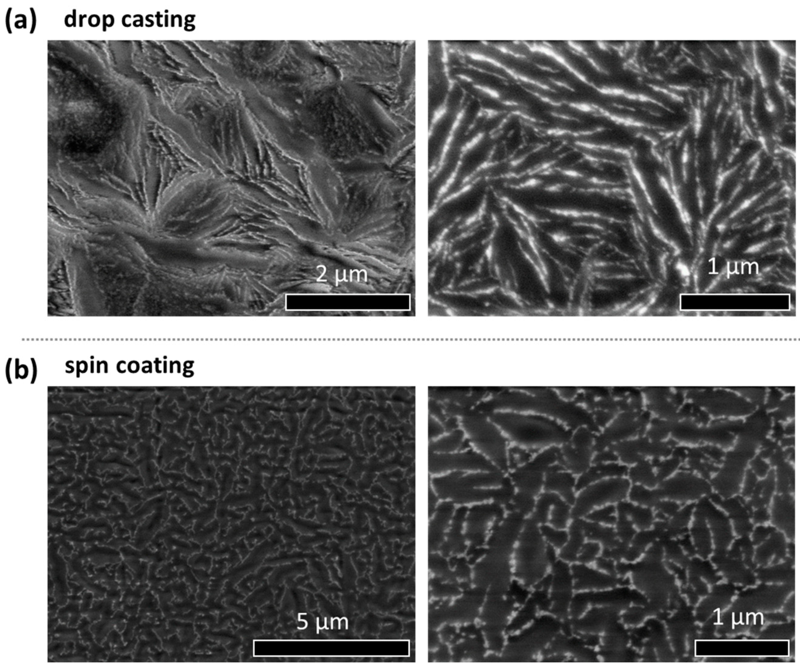 Nanomaterials 14 01726 g001