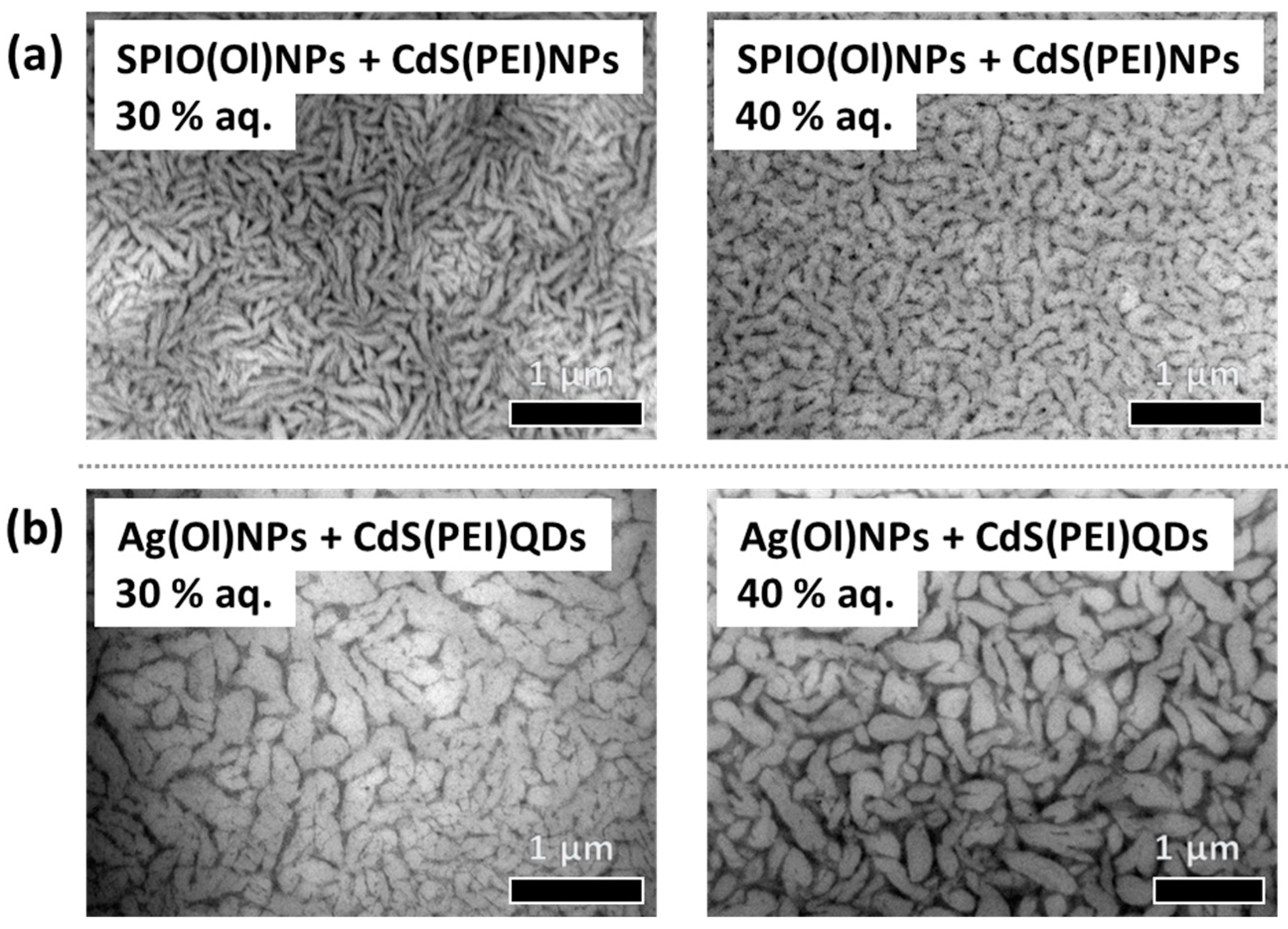 Nanomaterials 14 01726 g004