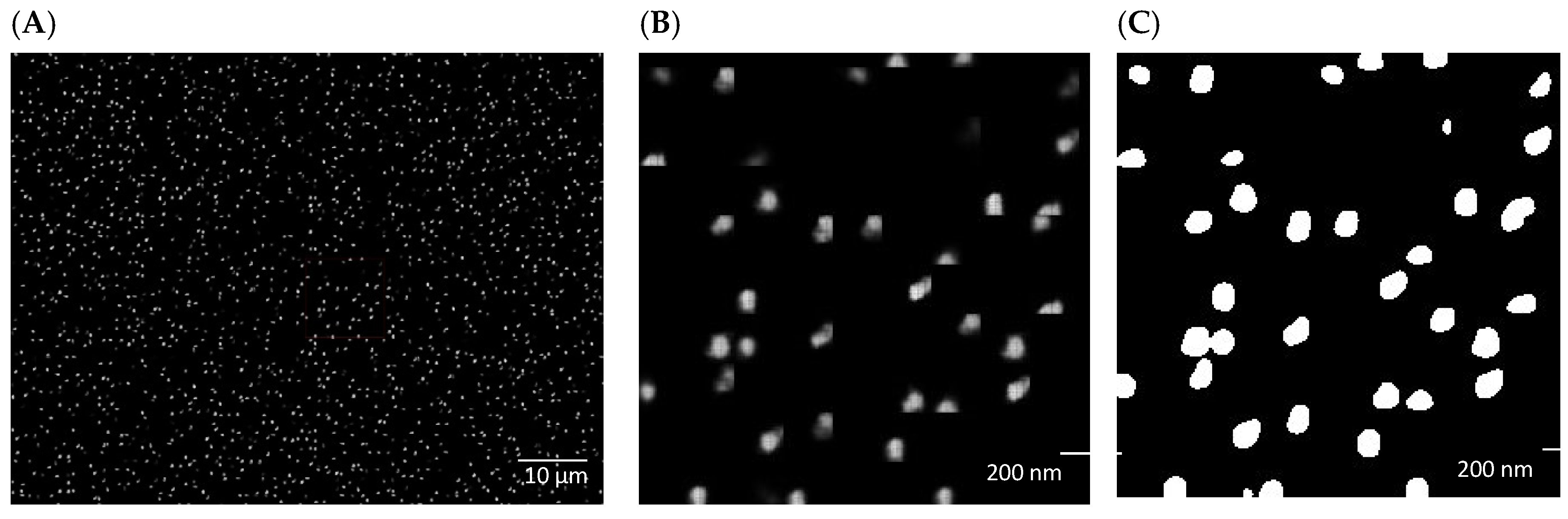Nanomaterials 14 01739 g002