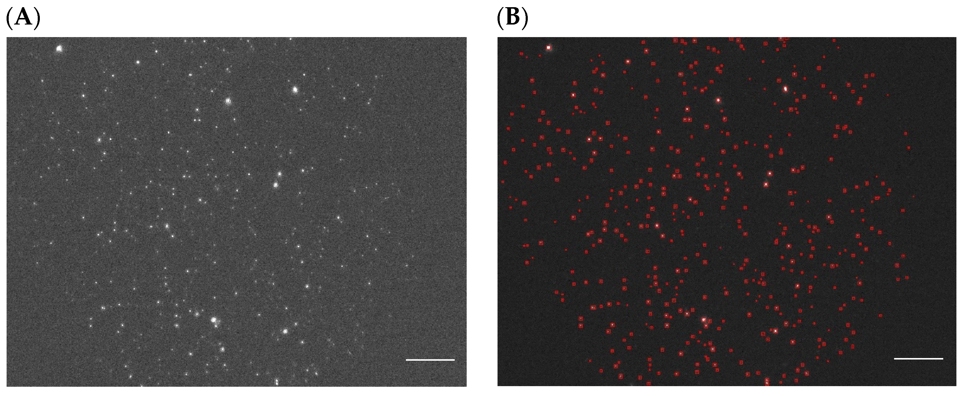 Nanomaterials 14 01739 g004a
