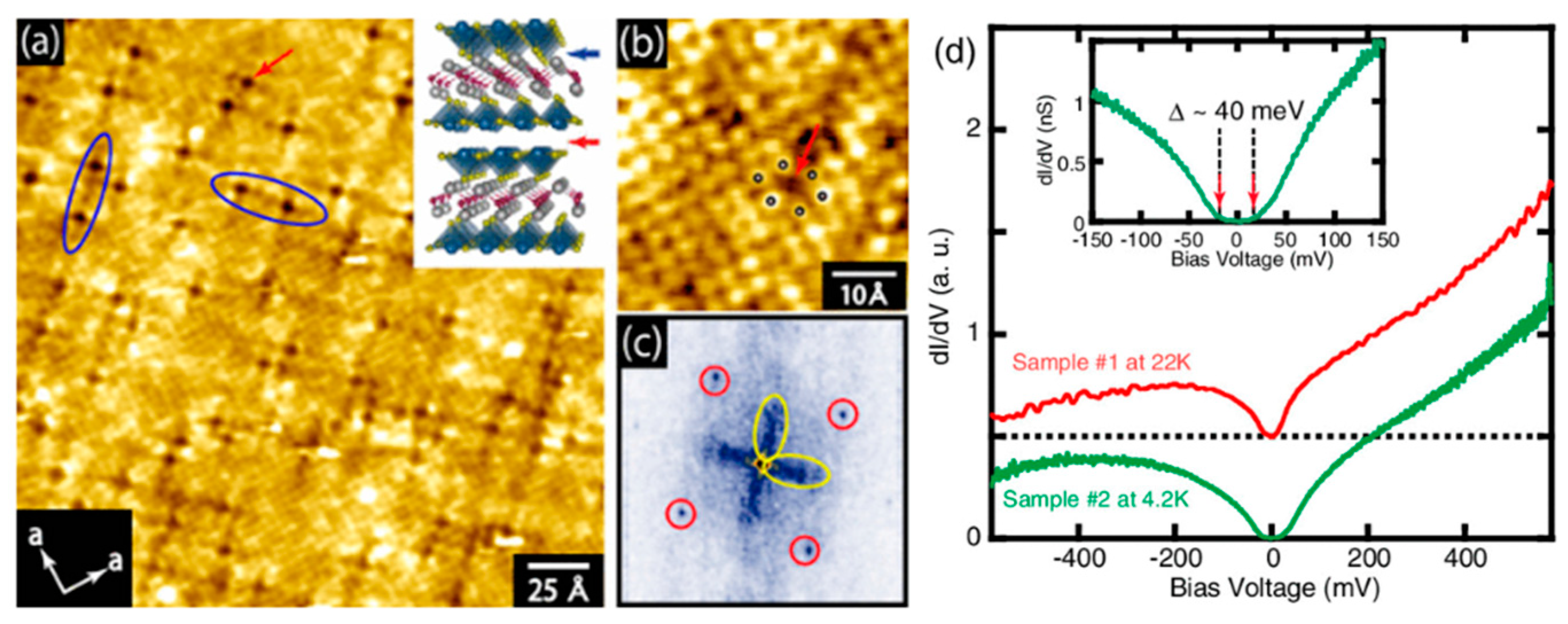 Nanomaterials 14 01740 g012 Nanomaterials 14 01740 g012