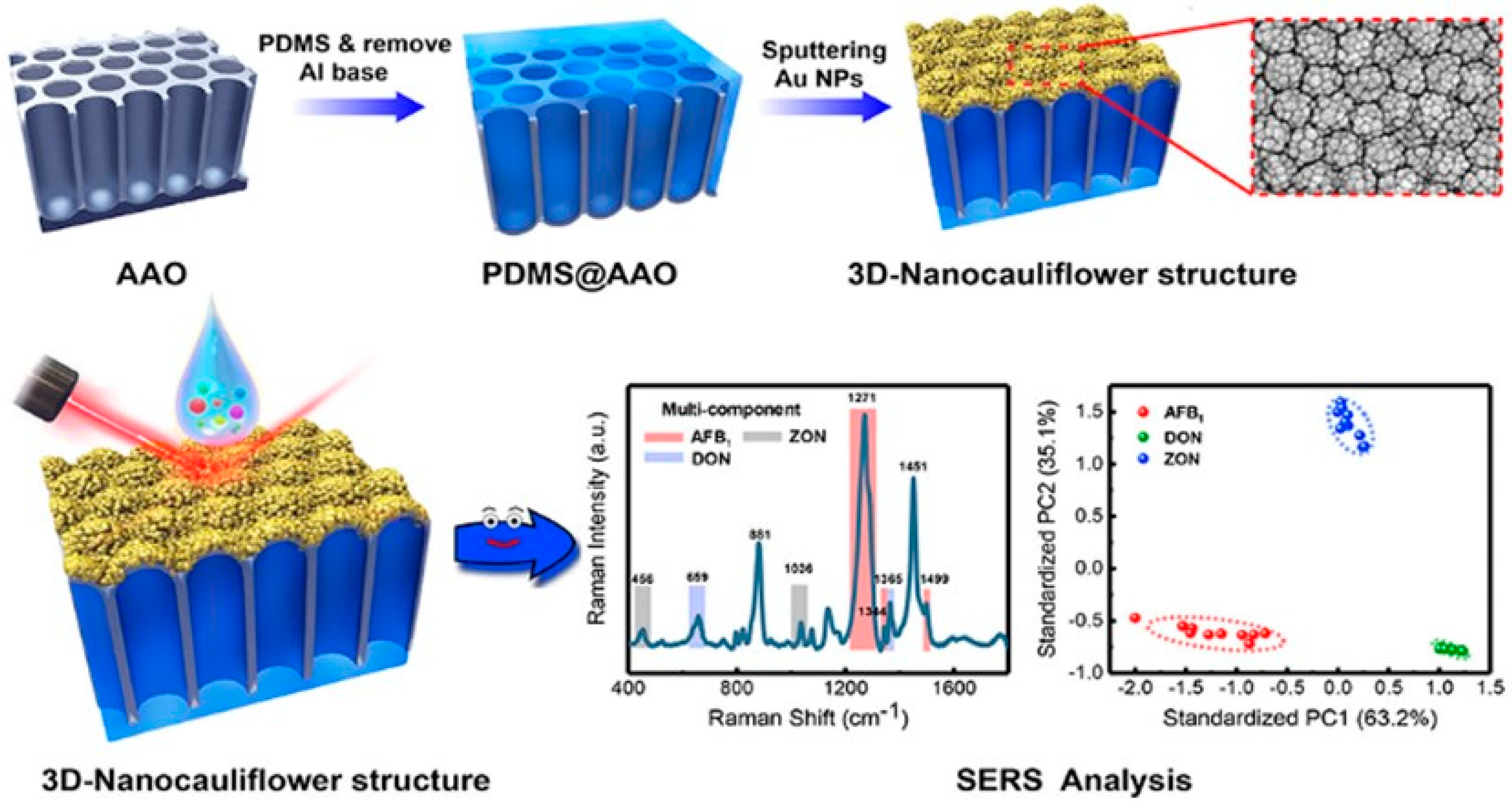 Nanomaterials 14 01750 g004