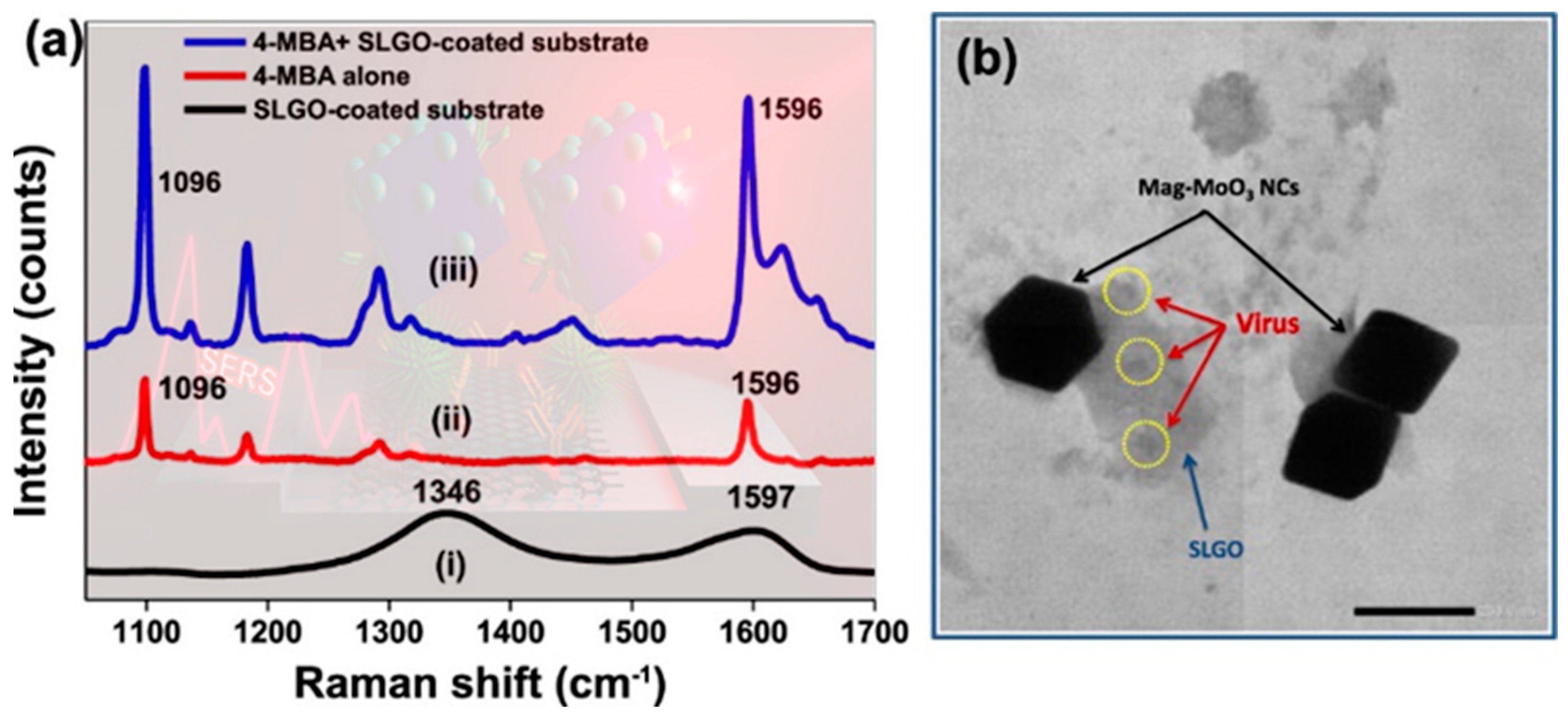 Nanomaterials 14 01750 g007
