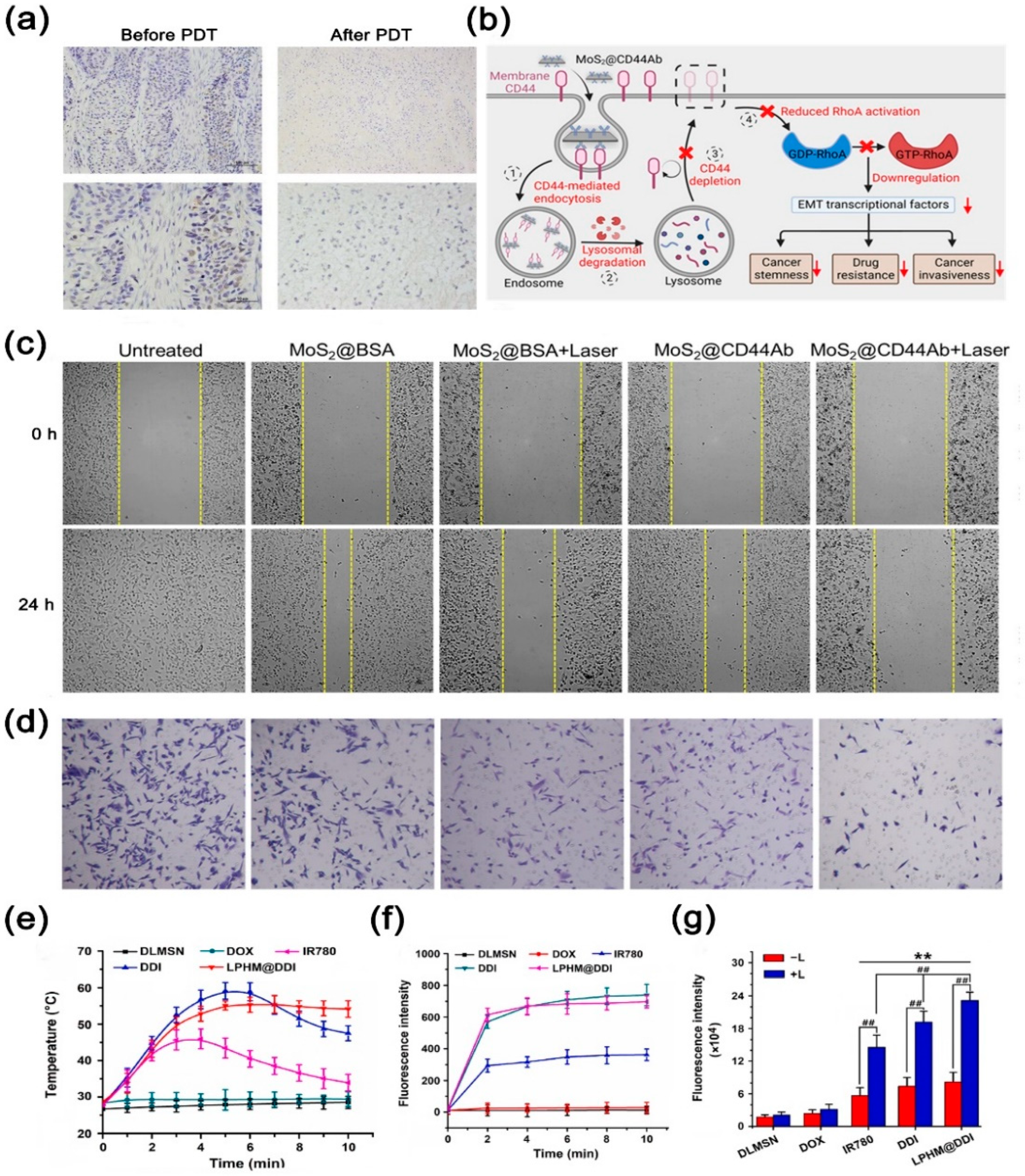 Nanomaterials 14 01757 g005