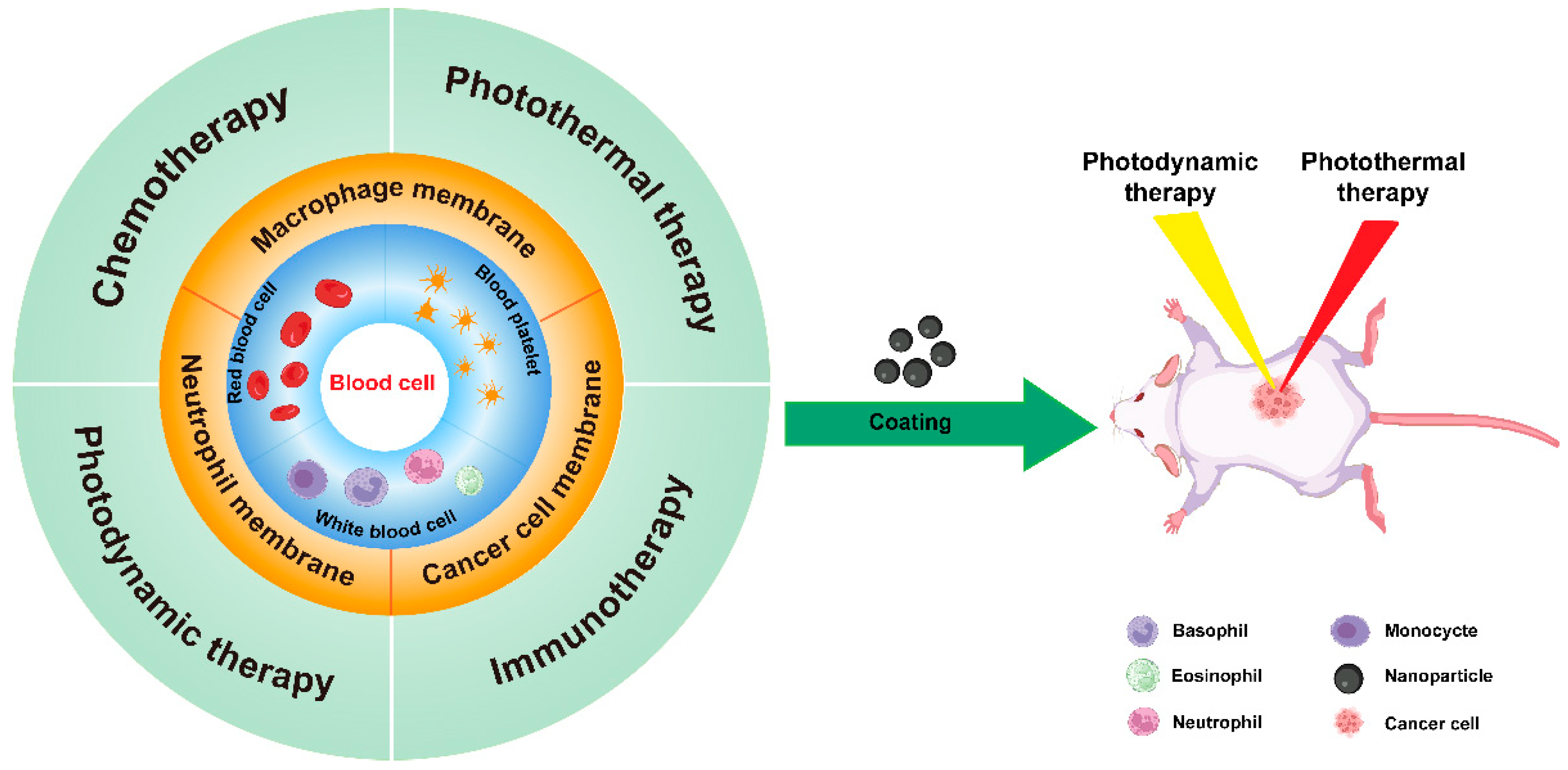 Nanomaterials 14 01757 sch001