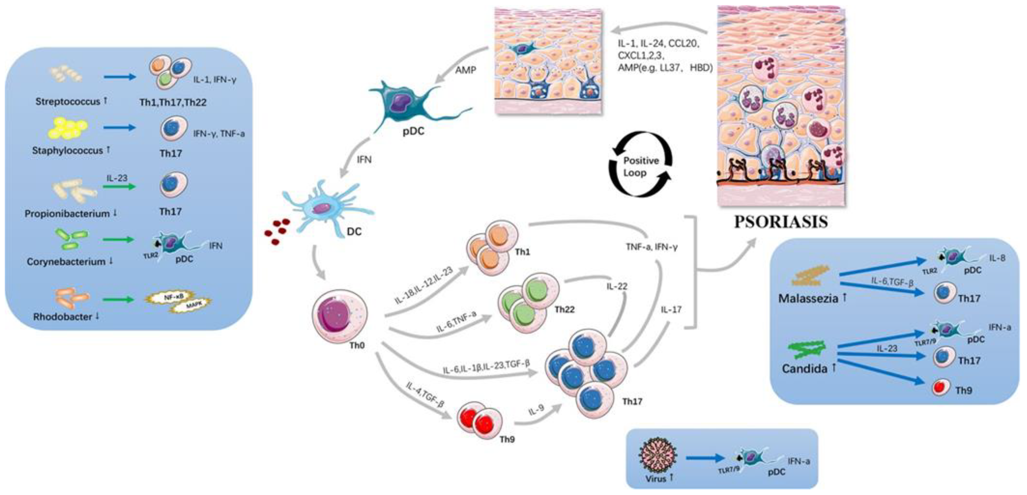 Nanomaterials 14 01760 g001 Nanomaterials 14 01760 g001