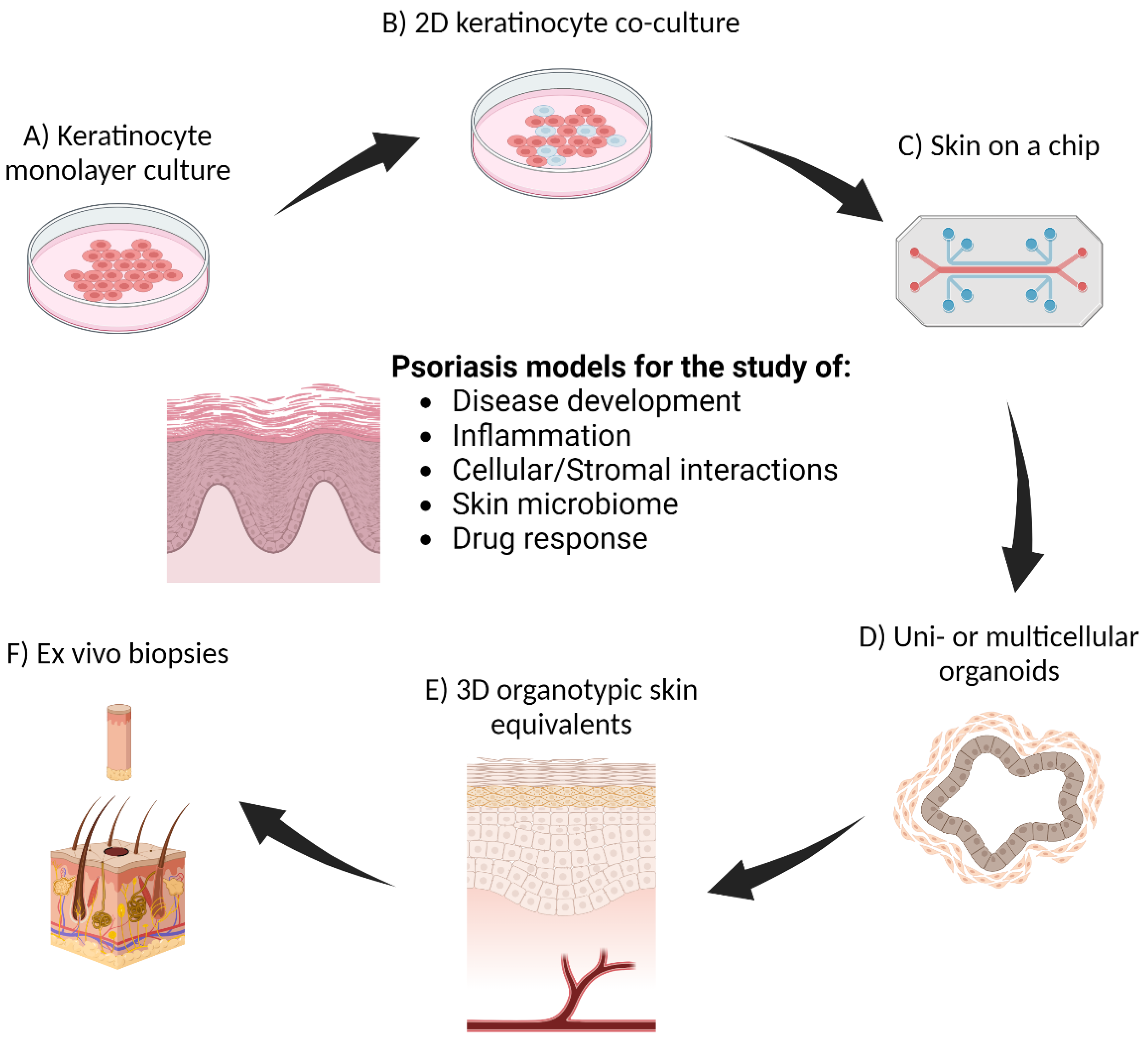 Nanomaterials 14 01760 g002 Nanomaterials 14 01760 g002