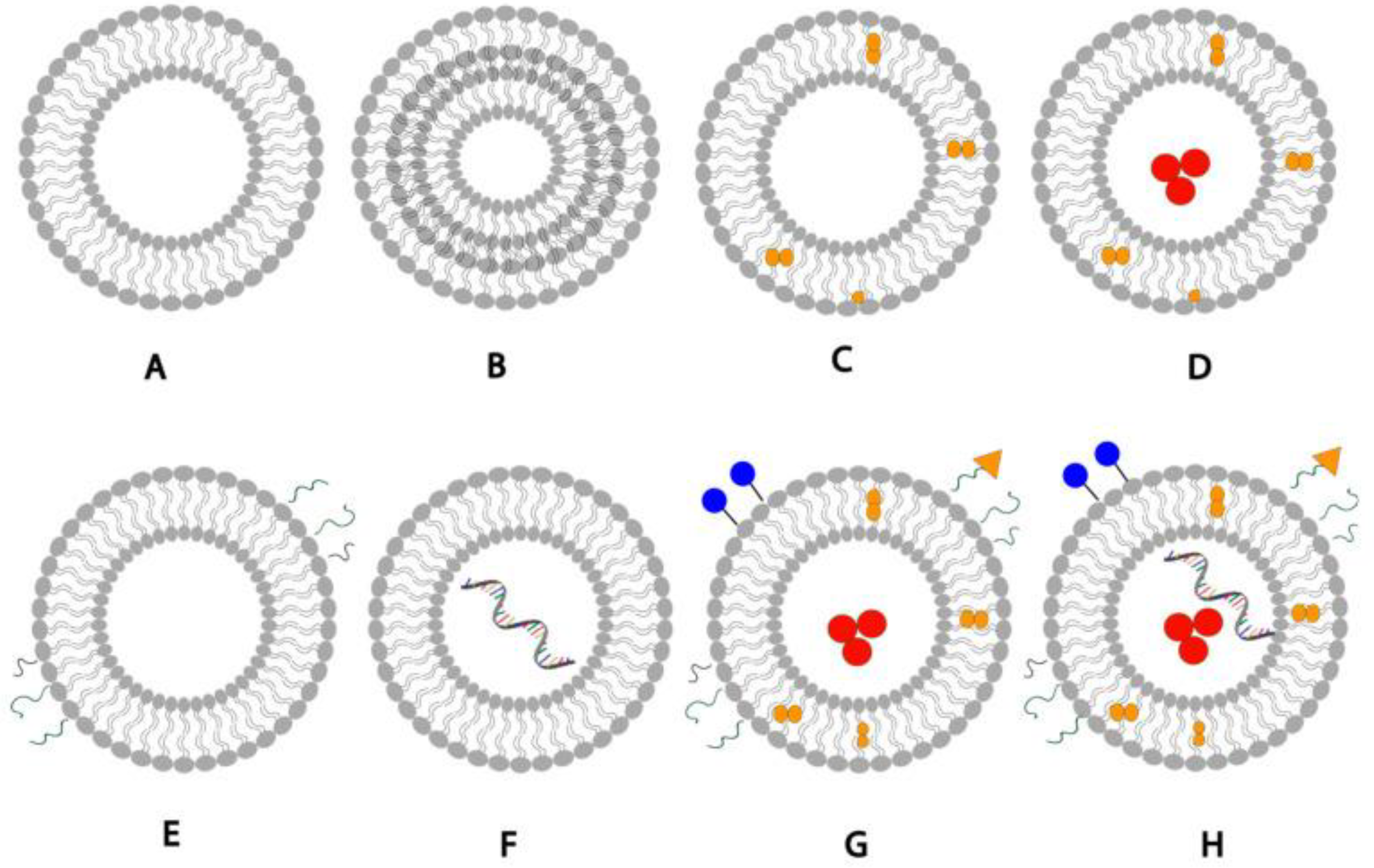 Nanomaterials 14 01760 g005 Nanomaterials 14 01760 g005