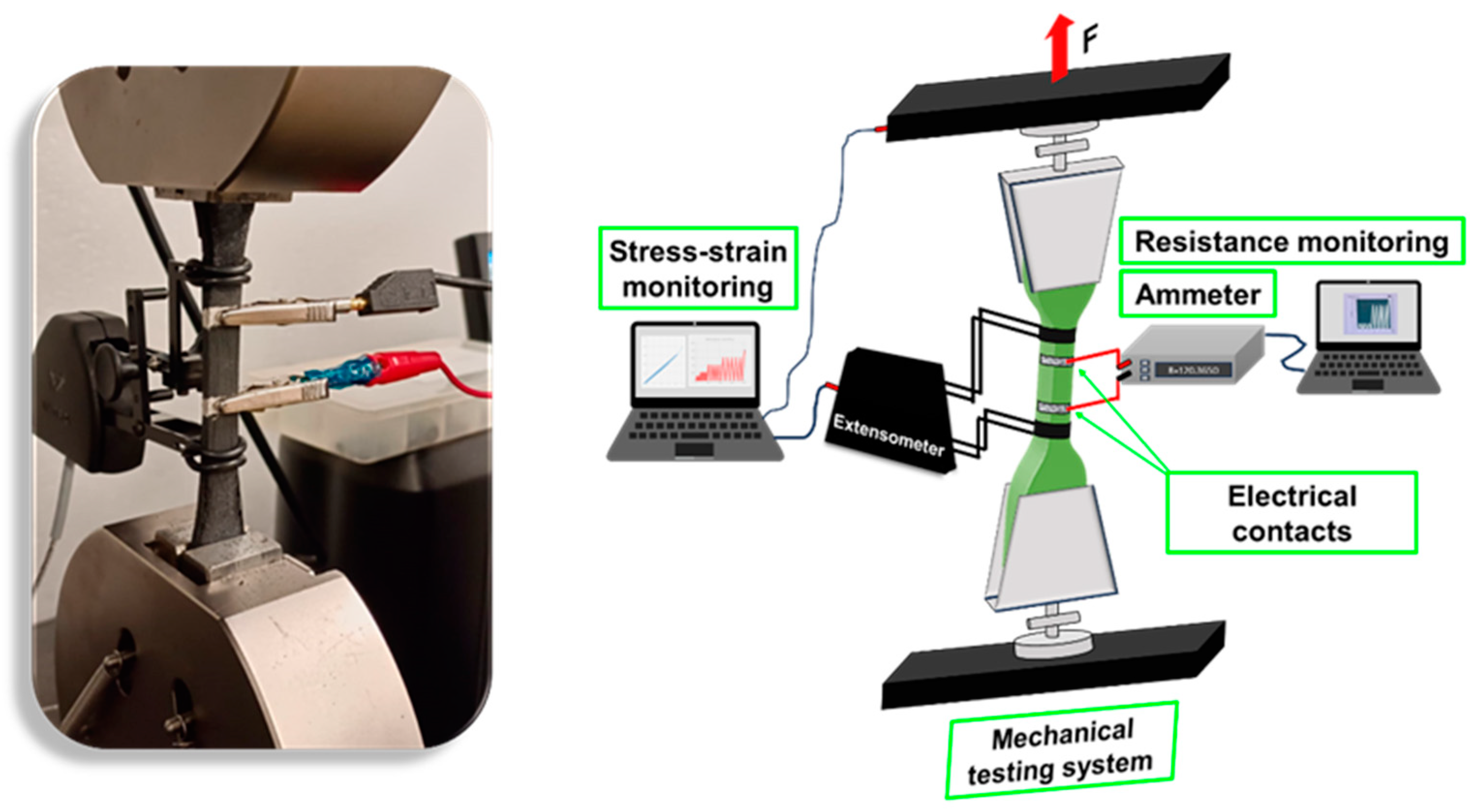Nanomaterials 14 01761 g002