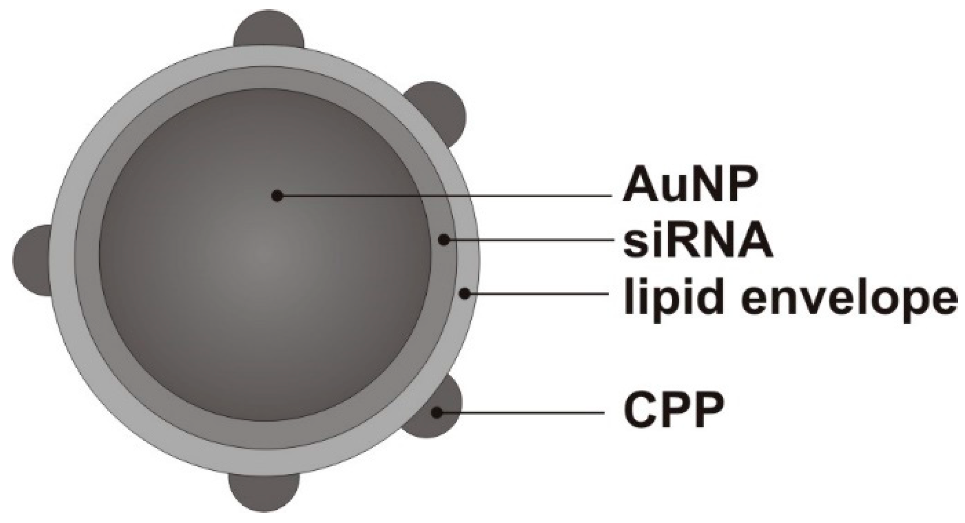 Nanomaterials 14 01767 g001