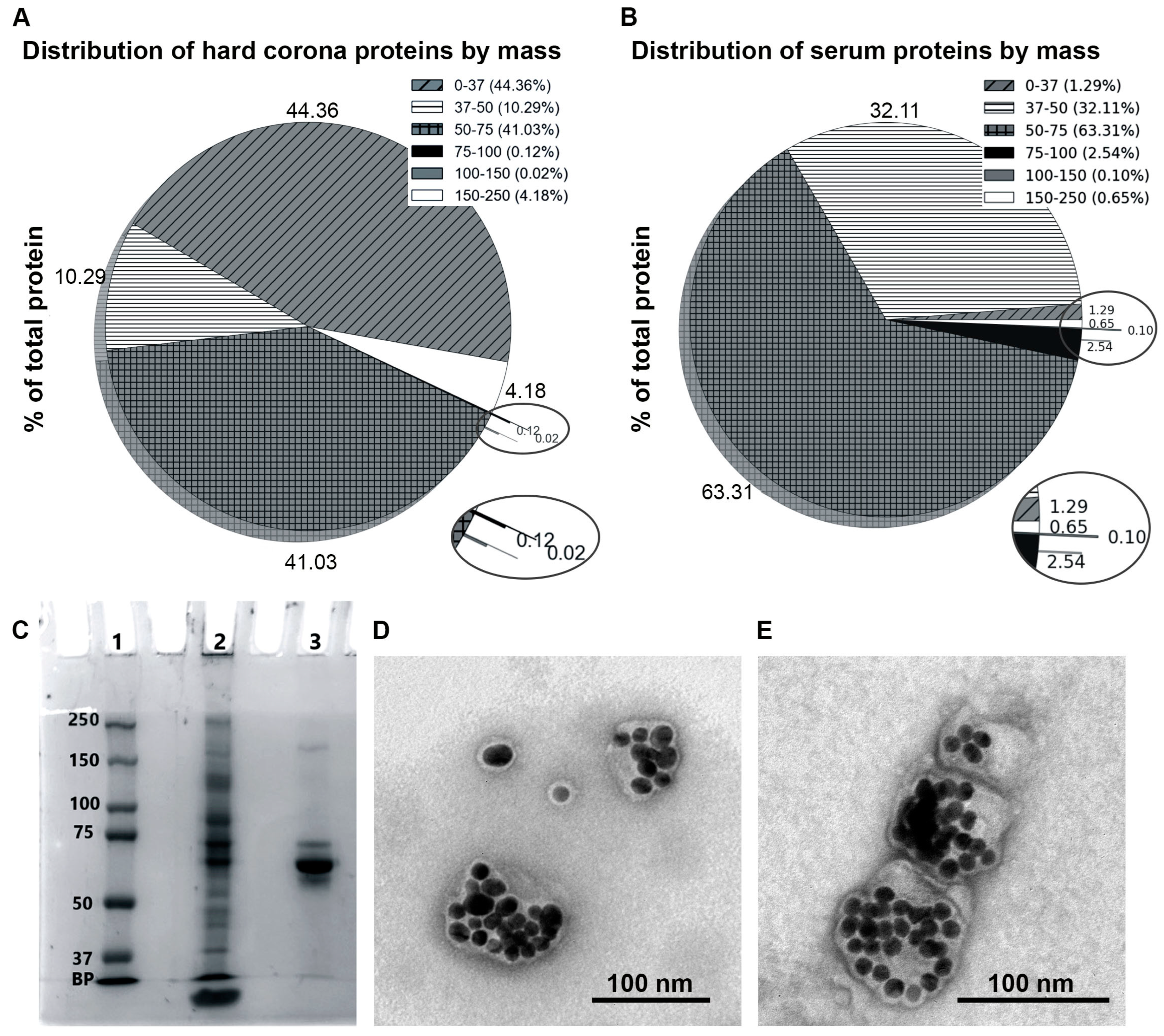 Nanomaterials 14 01767 g002