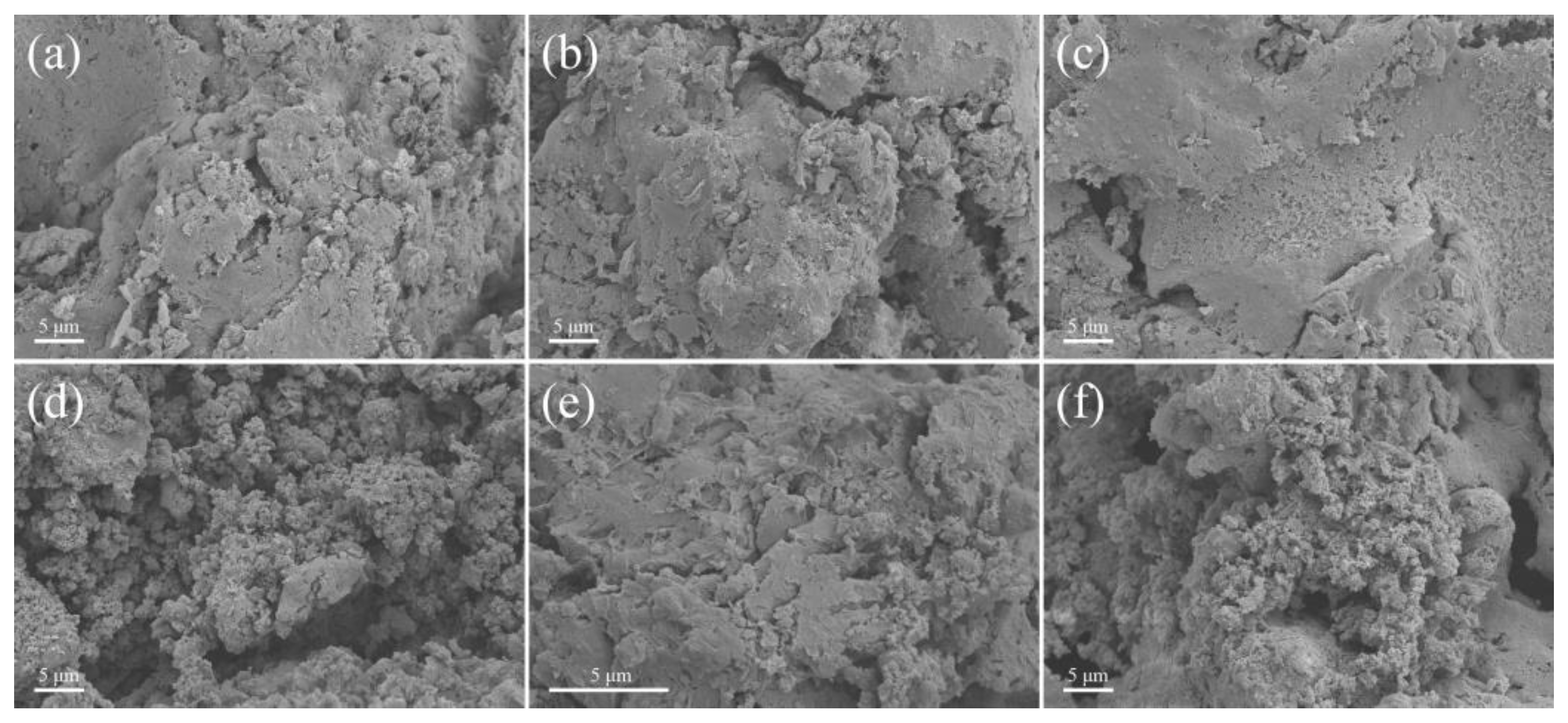 Nanomaterials 14 01772 g009