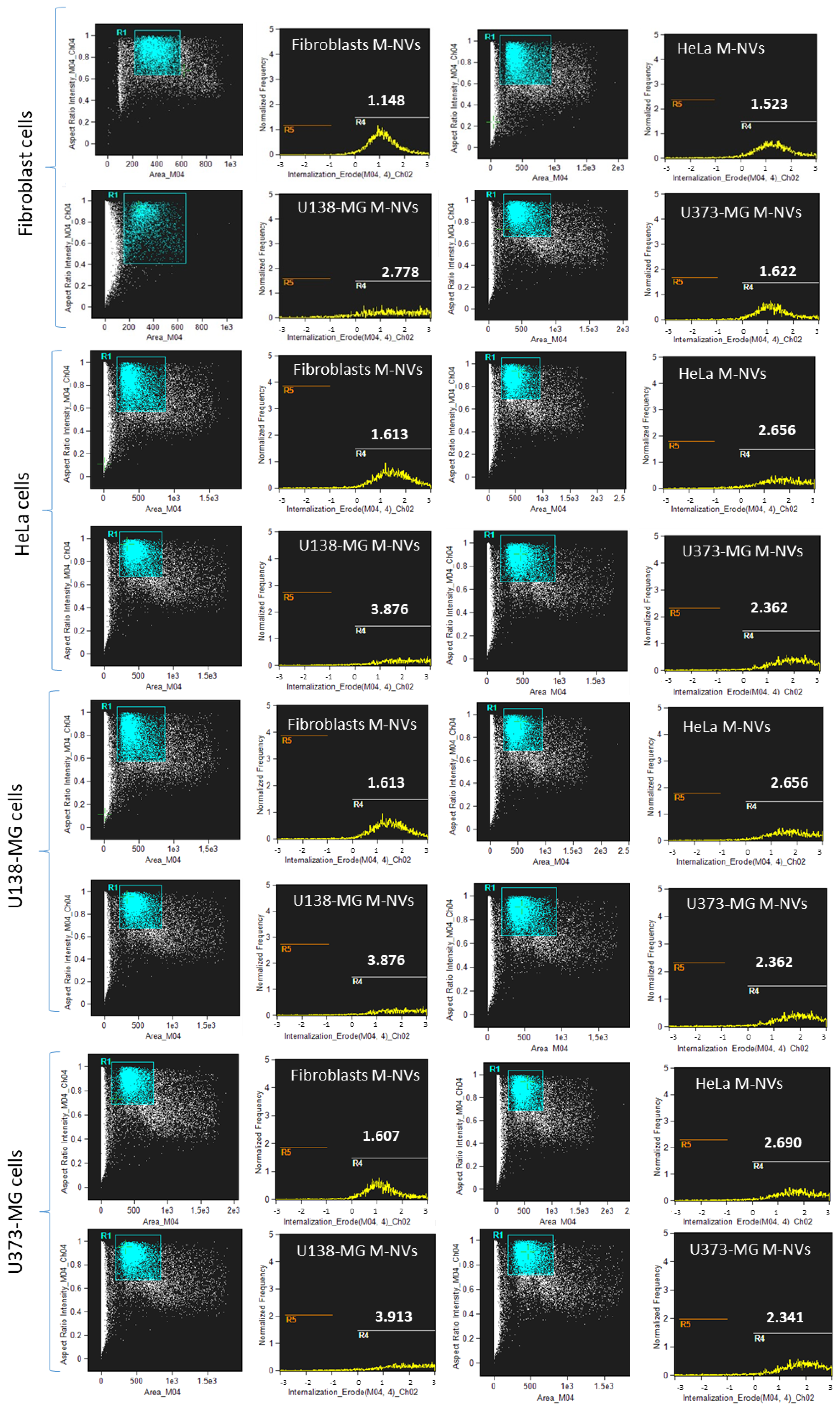 Nanomaterials 14 01779 g002