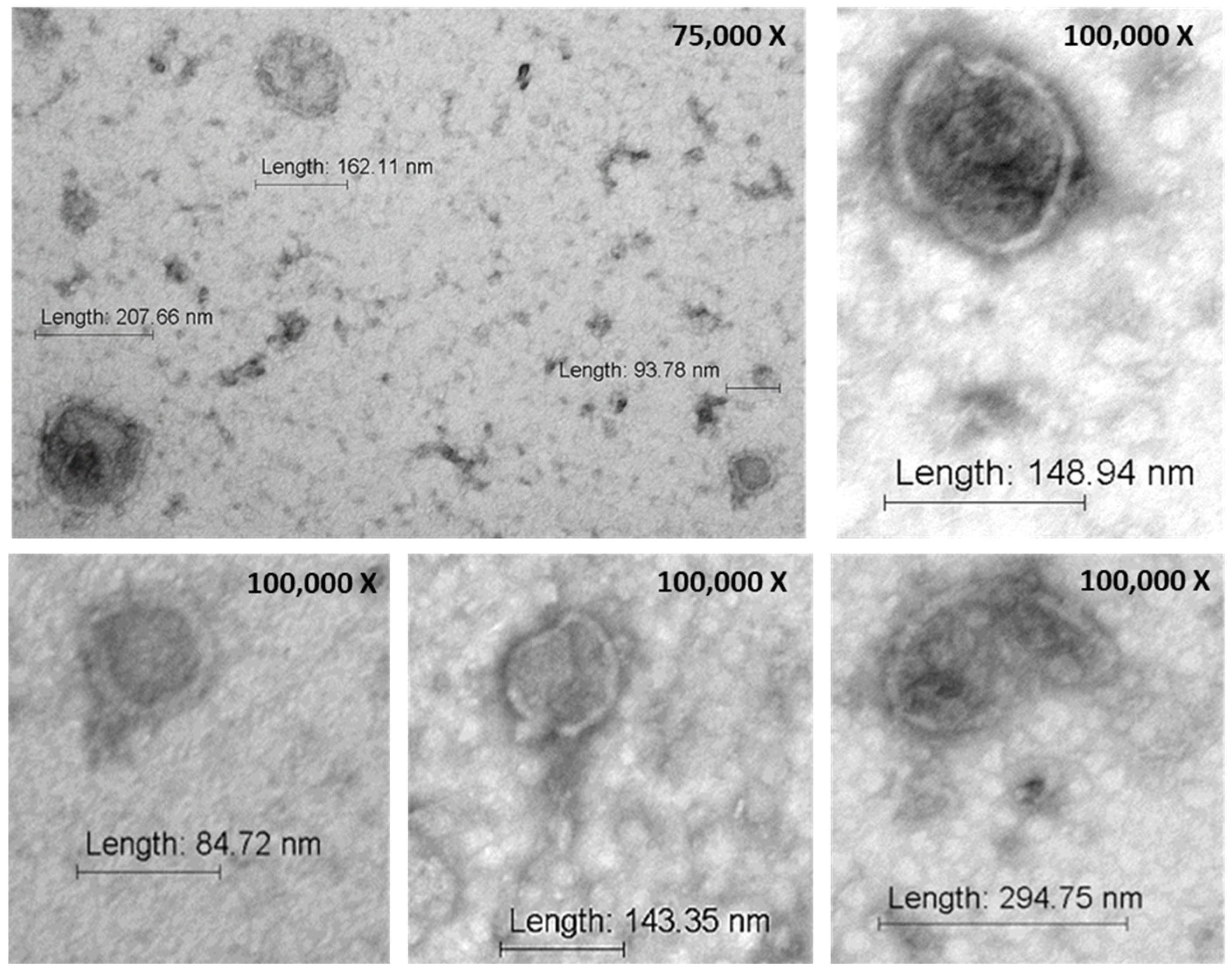 Nanomaterials 14 01779 g003