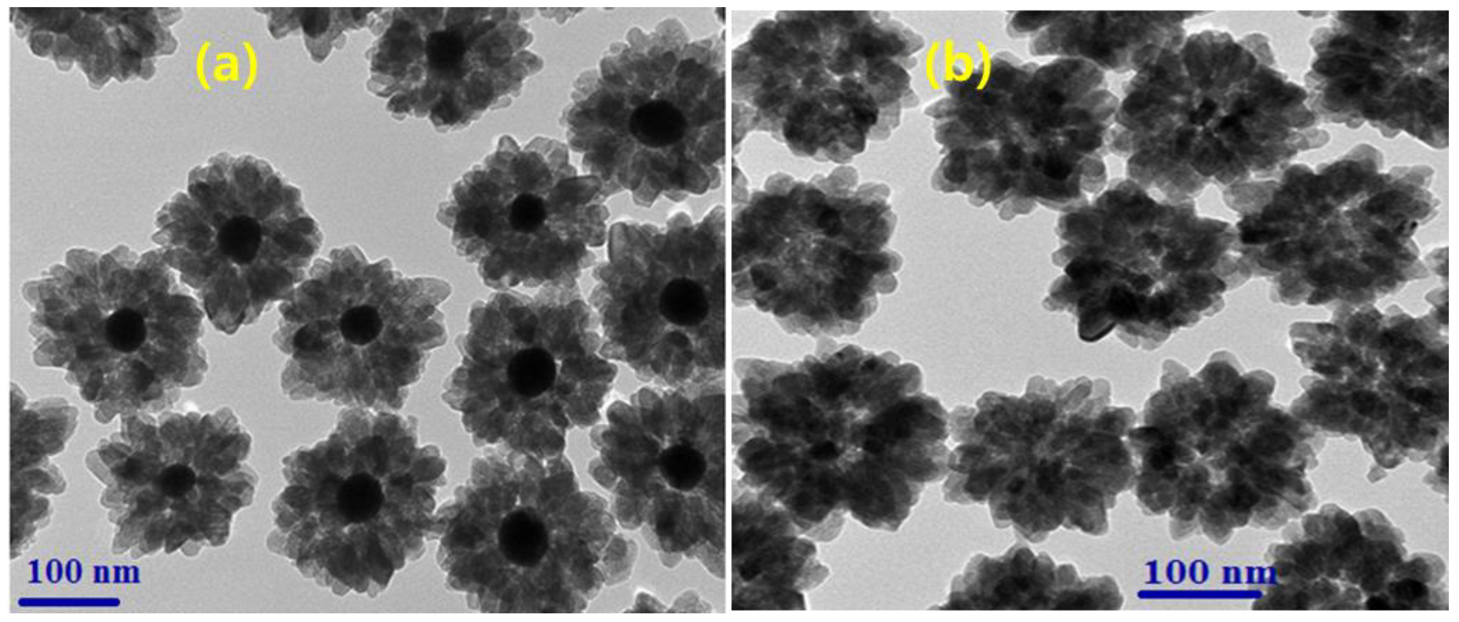 Nanomaterials 14 01782 g002