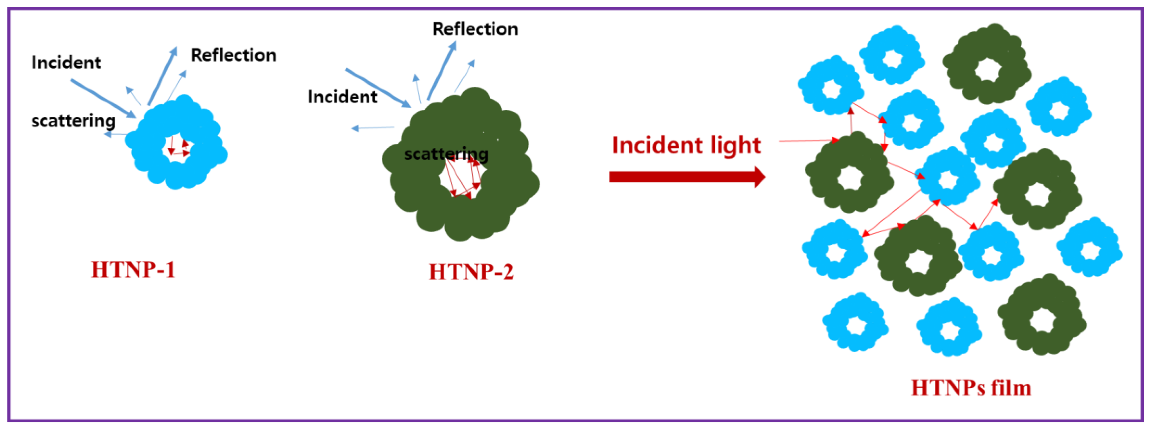 Nanomaterials 14 01782 g007