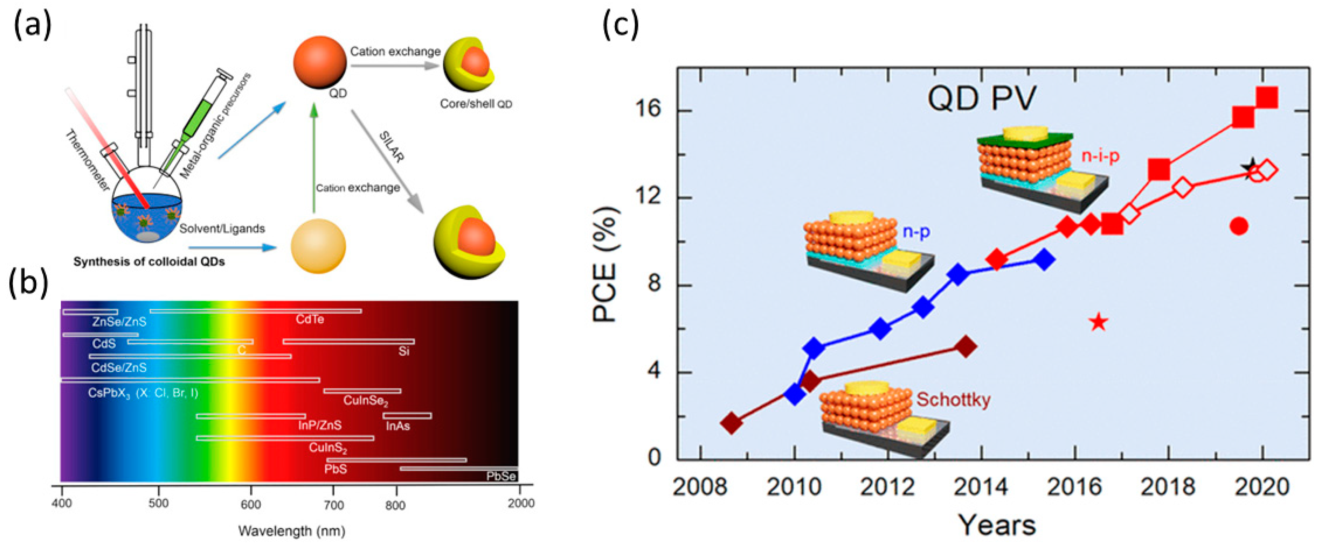 Nanomaterials 14 01783 g006
