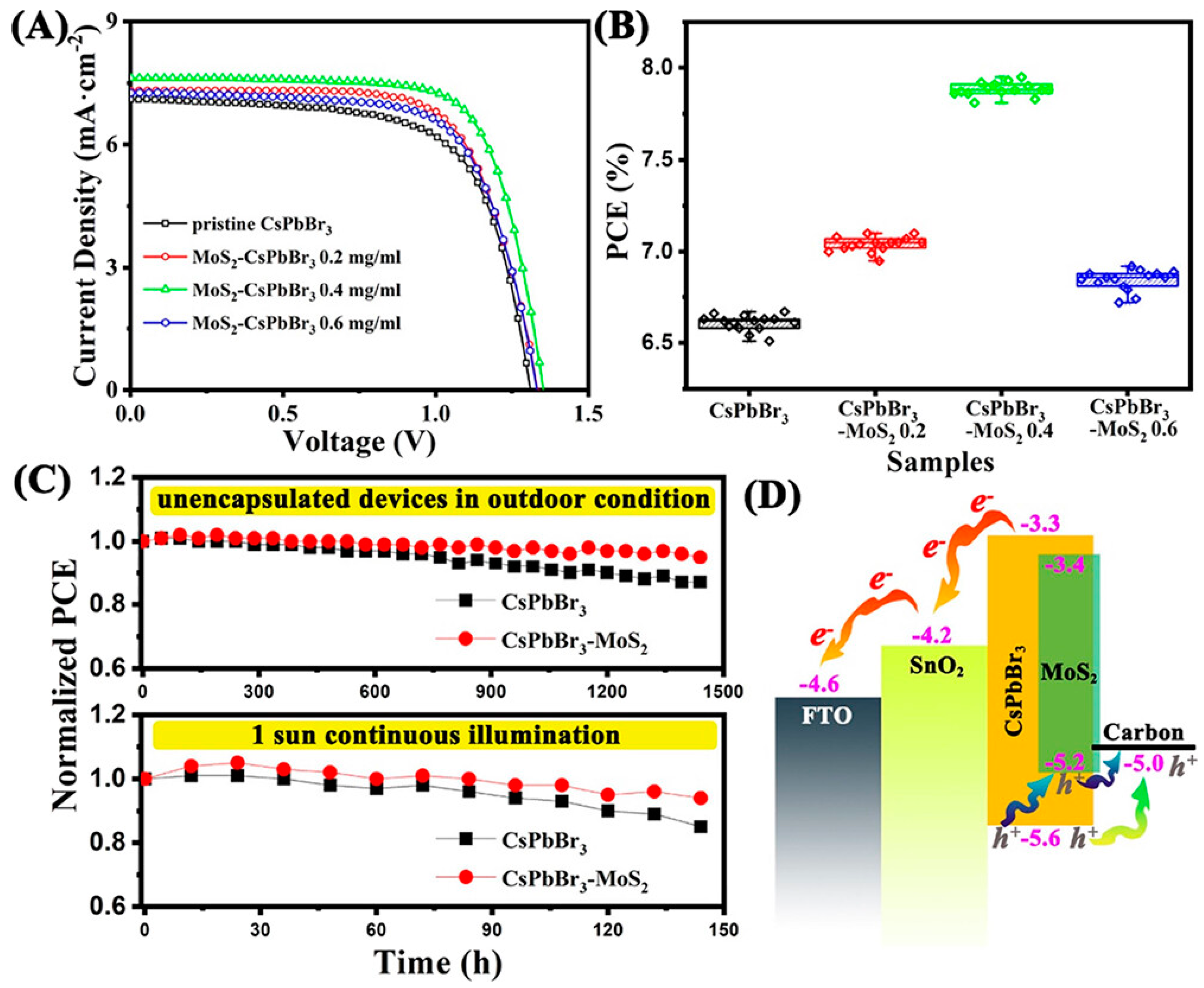 Nanomaterials 14 01783 g009