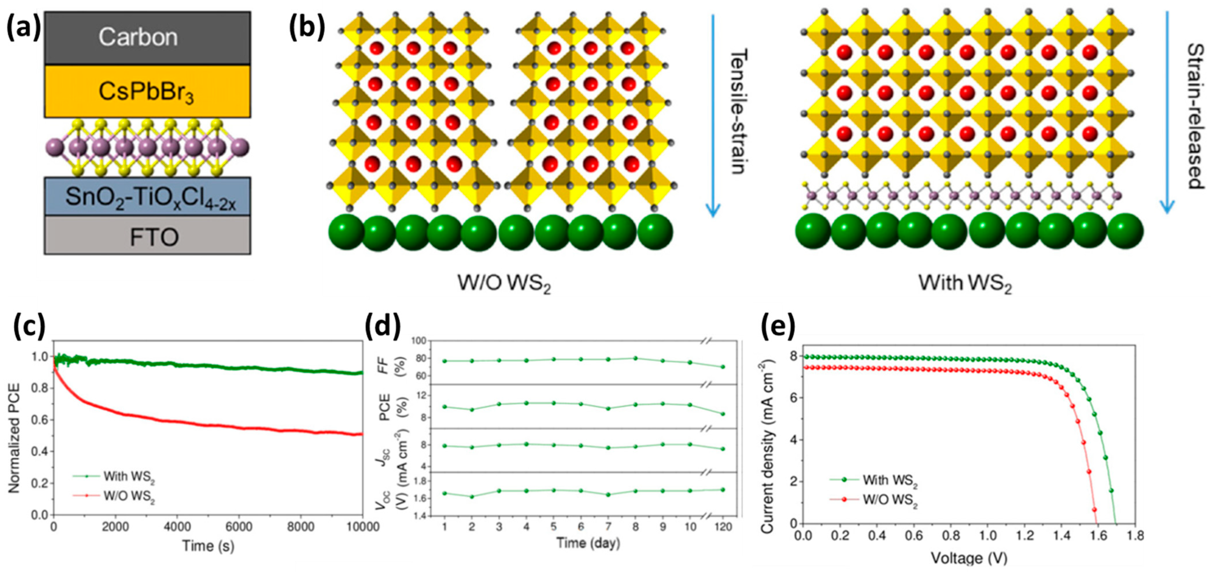 Nanomaterials 14 01783 g012