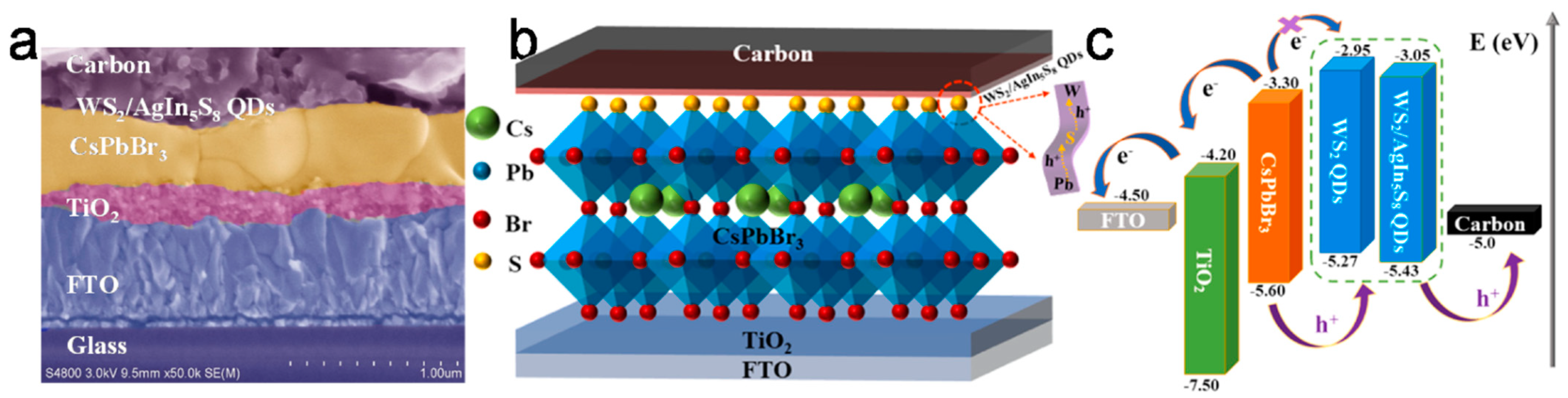 Nanomaterials 14 01783 g013