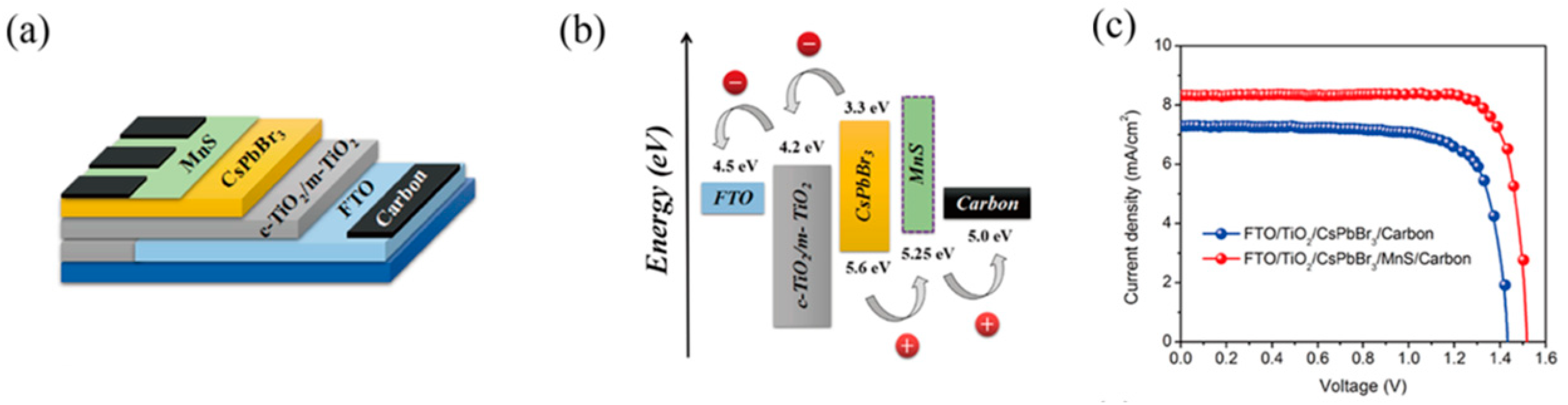 Nanomaterials 14 01783 g017