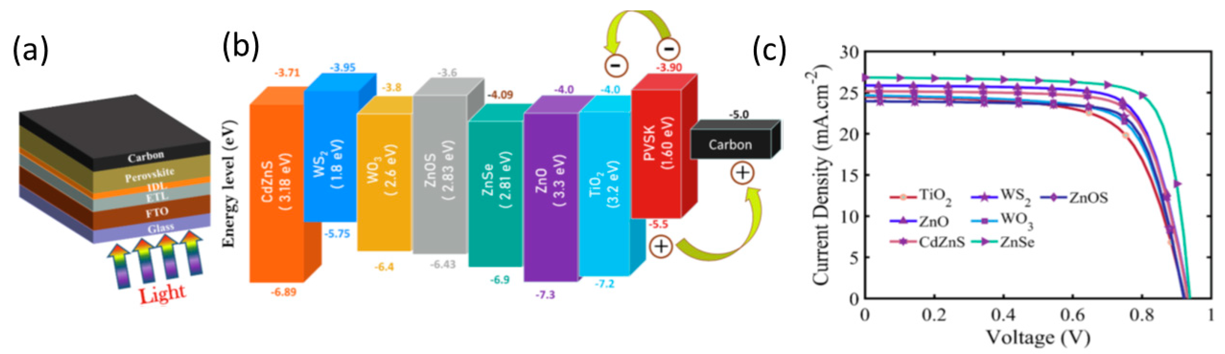 Nanomaterials 14 01783 g019