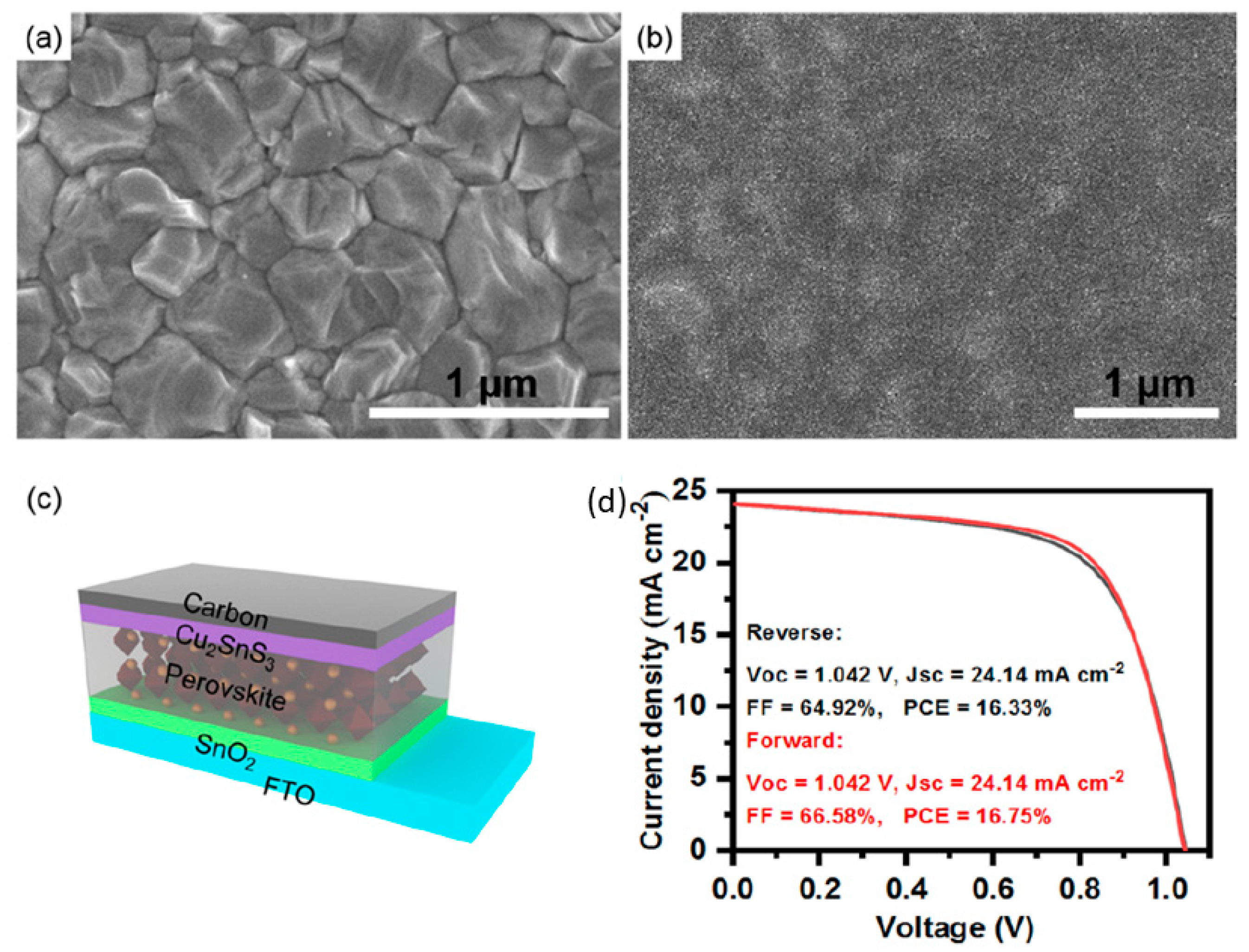 Nanomaterials 14 01783 g027