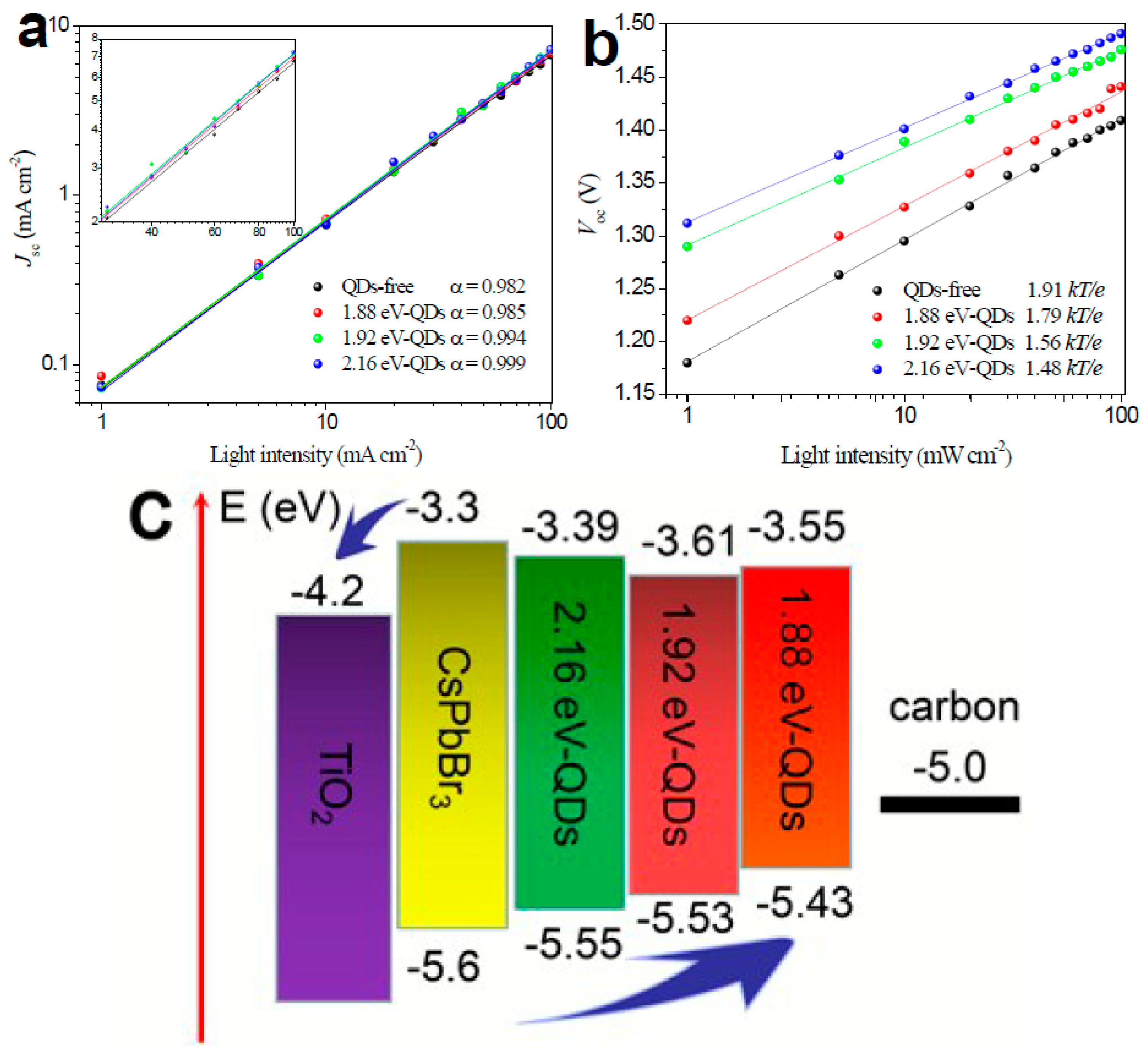Nanomaterials 14 01783 g028