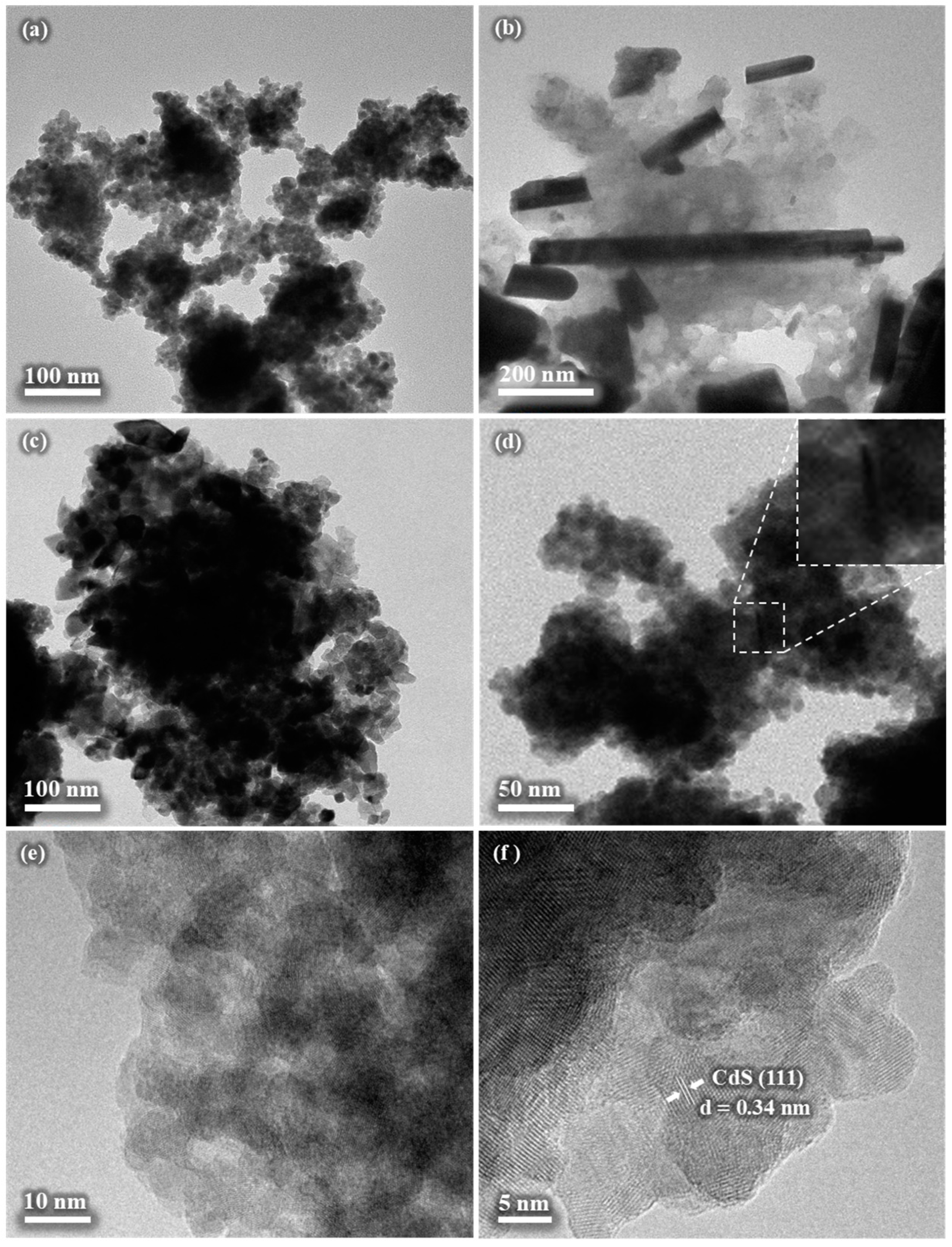 Nanomaterials 14 01785 g007