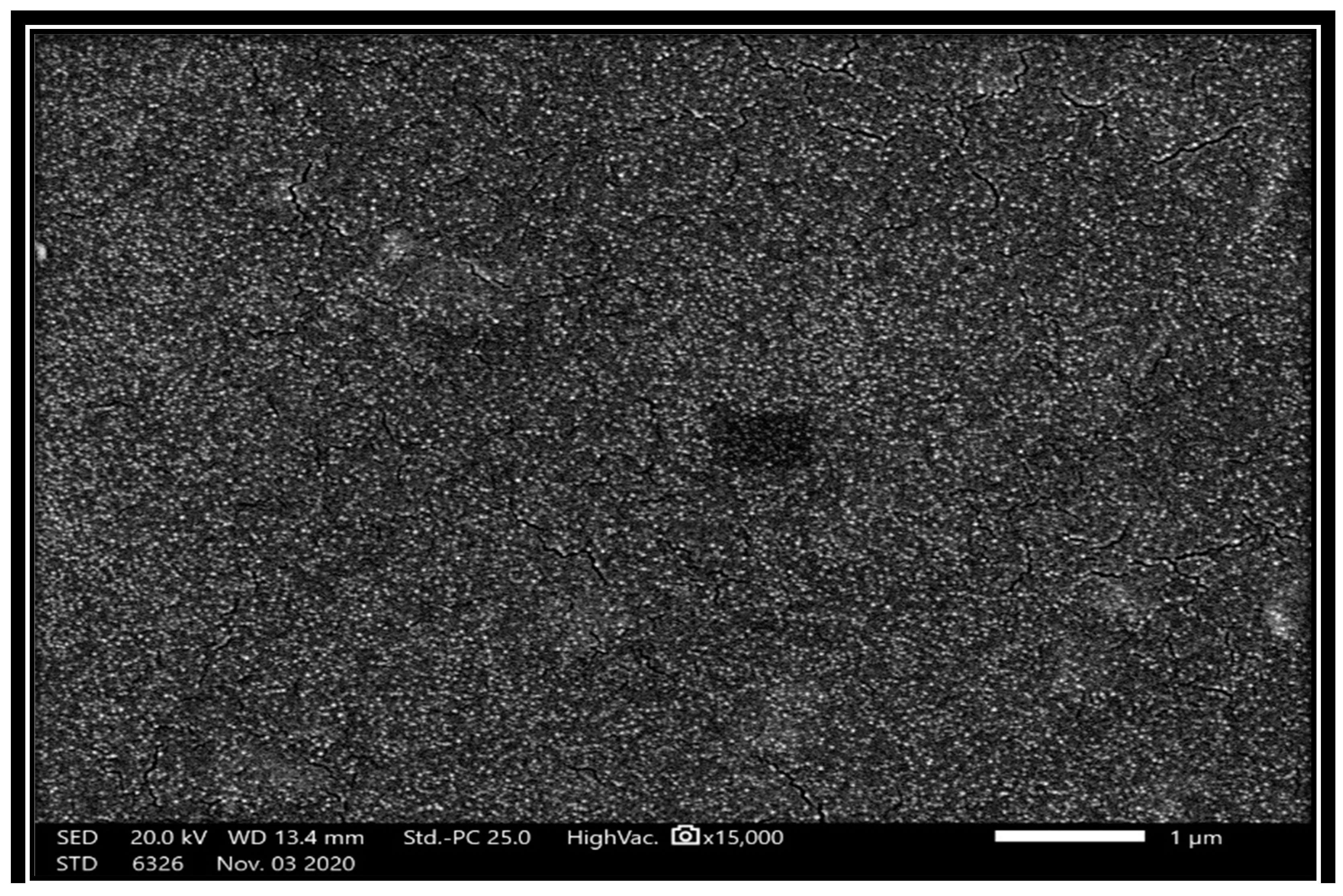 Nanomaterials 14 01789 g001a