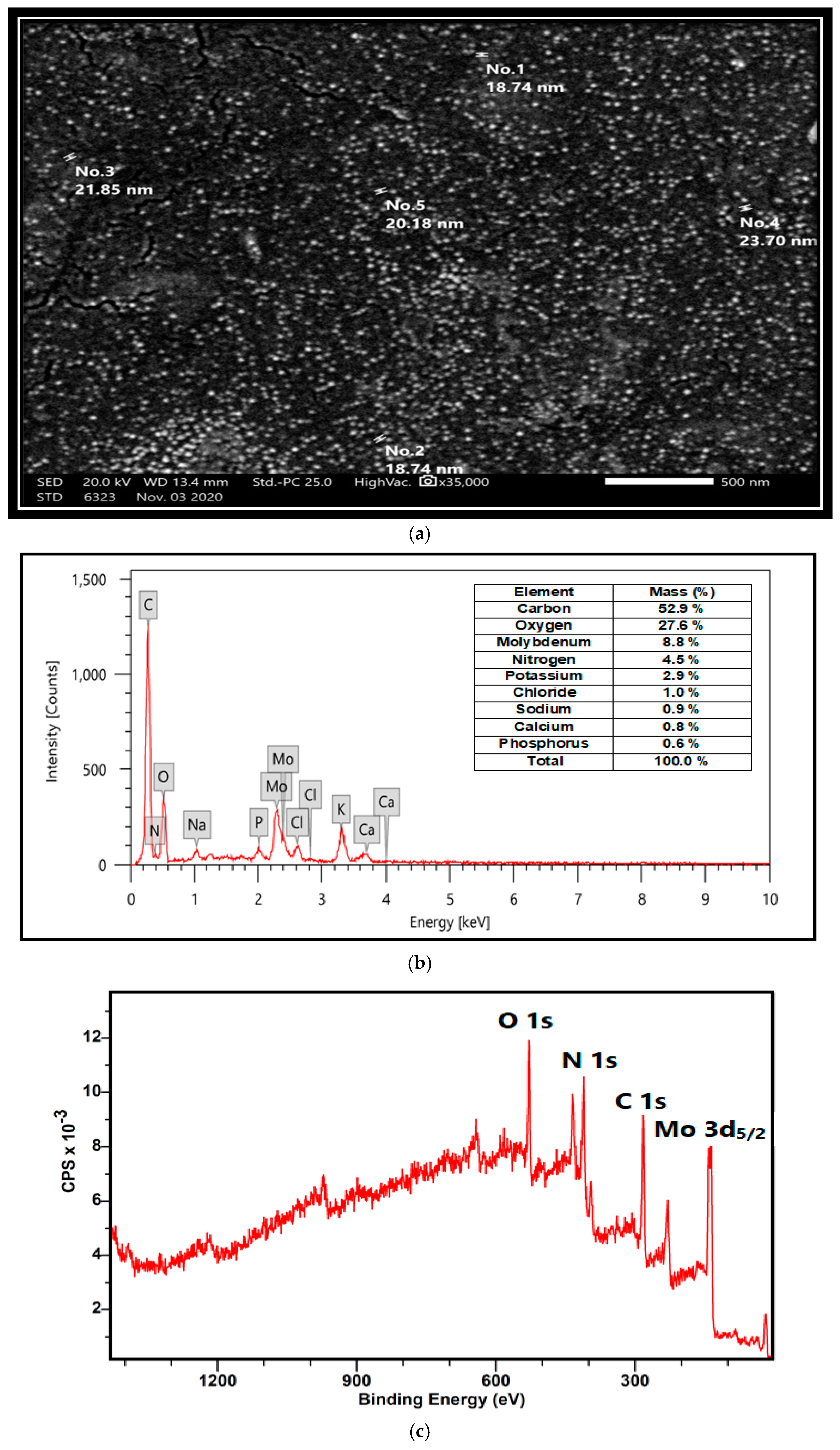 Nanomaterials 14 01789 g001b