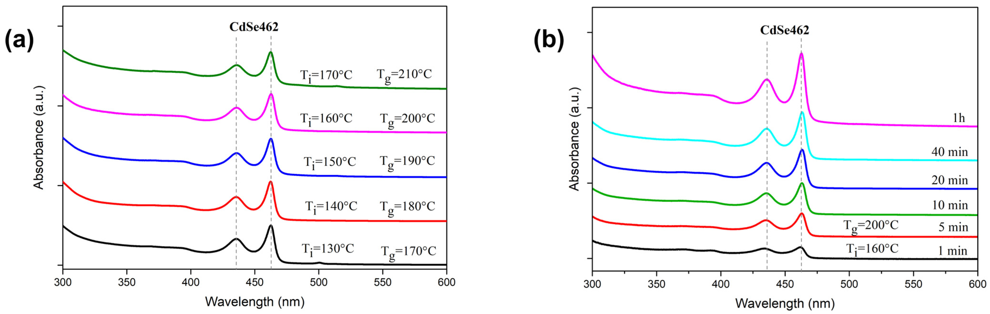 Nanomaterials 14 01794 g001