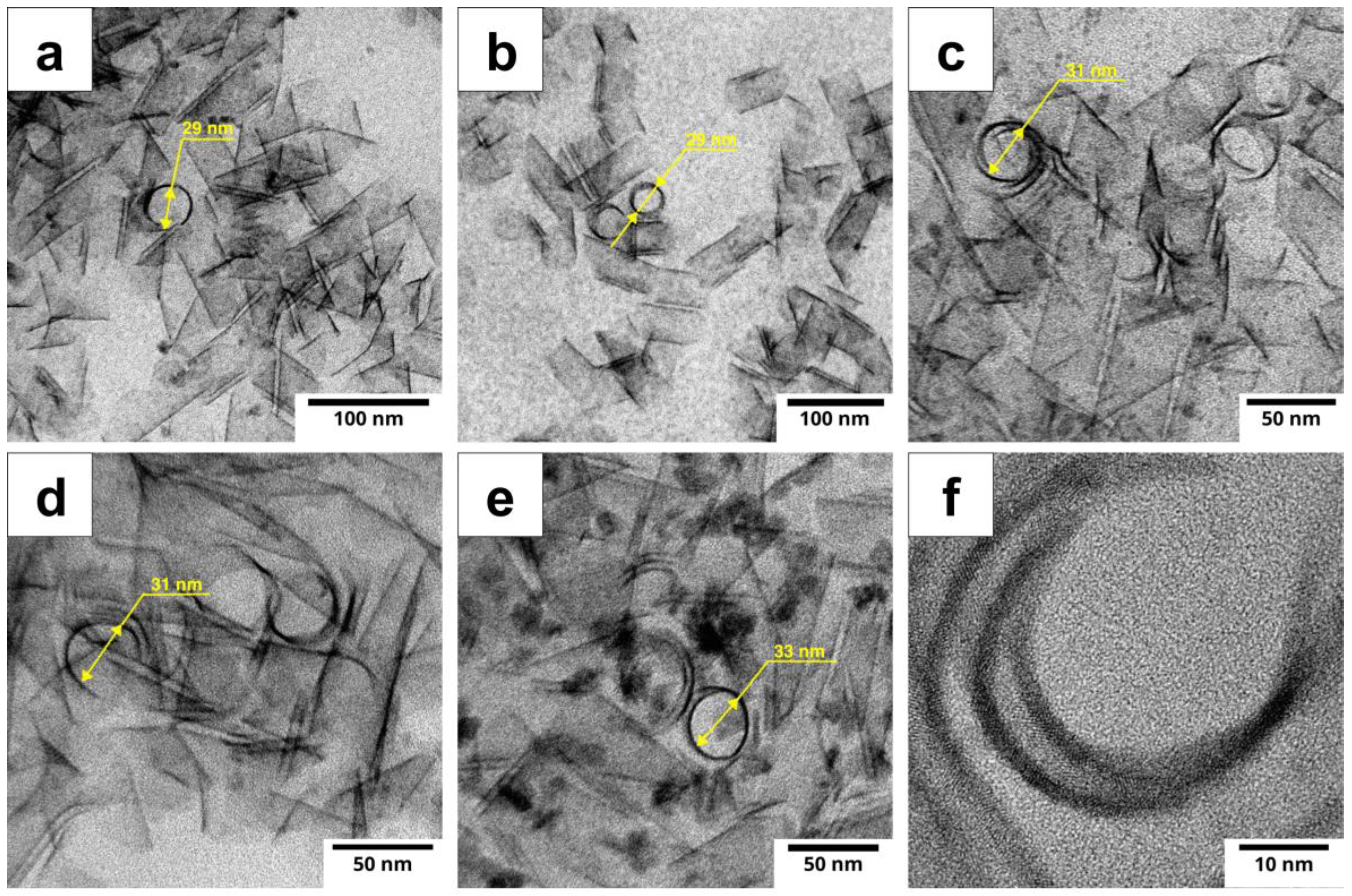 Nanomaterials 14 01794 g003