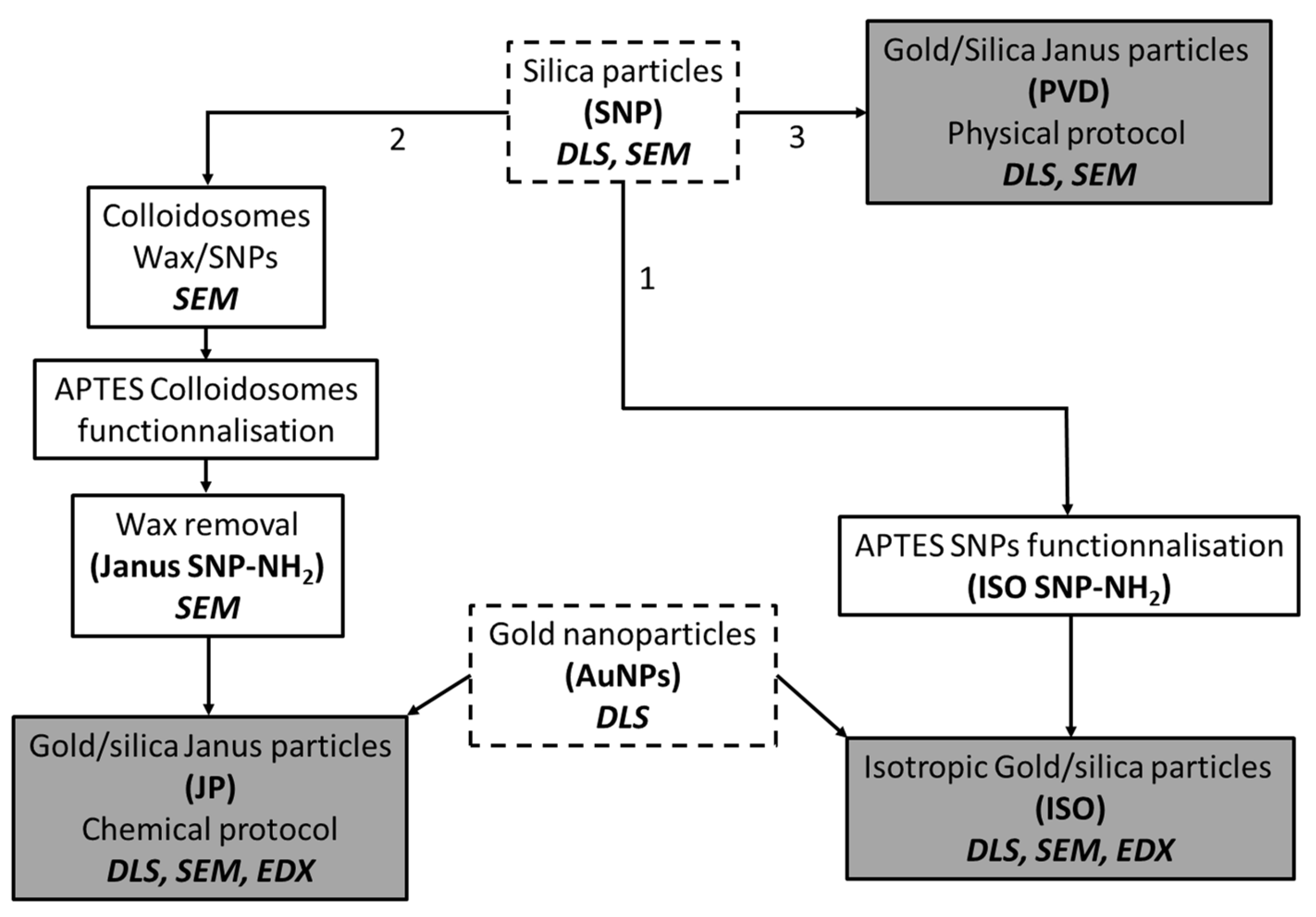 Nanomaterials 14 01796 g003