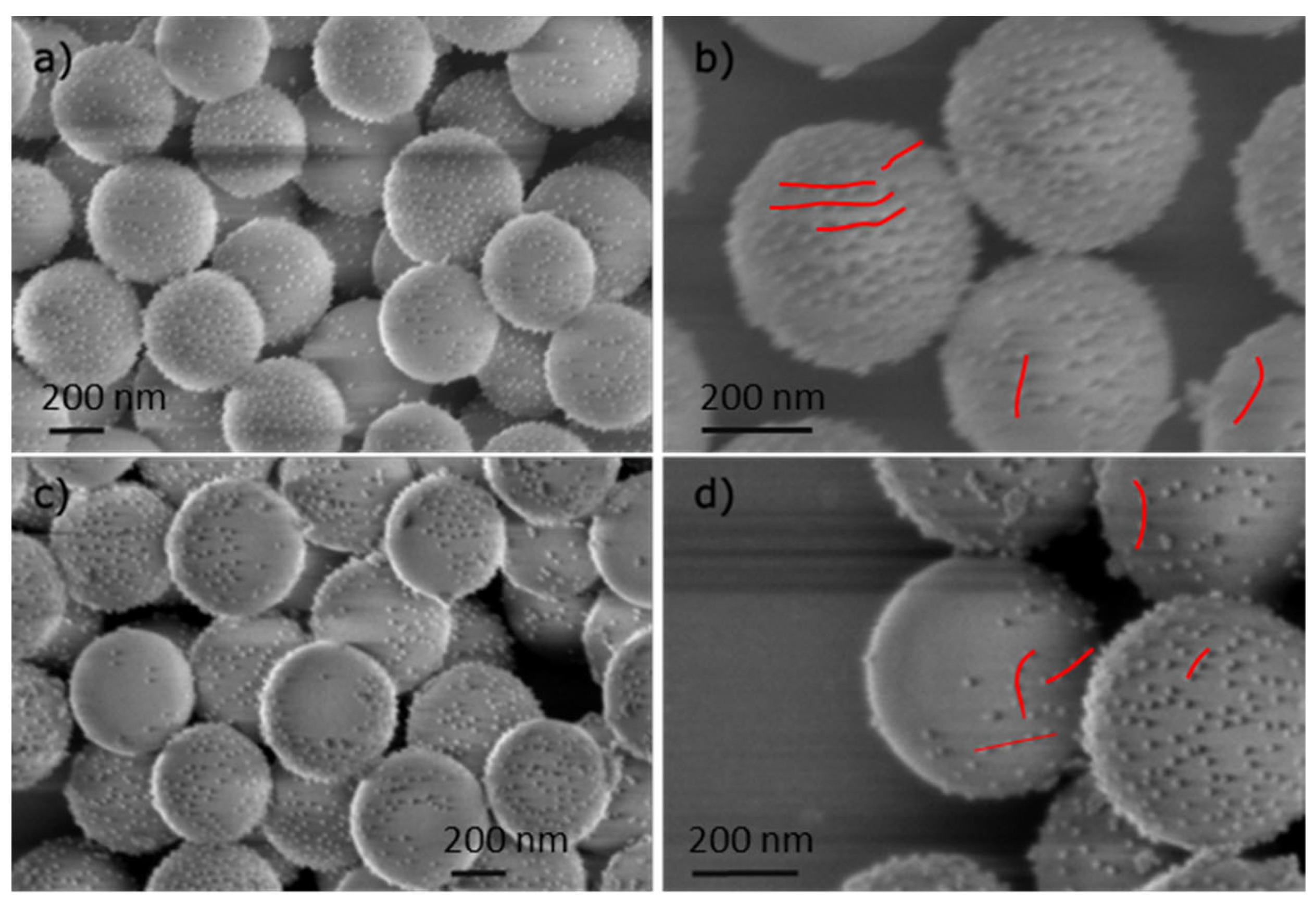 Nanomaterials 14 01796 g005