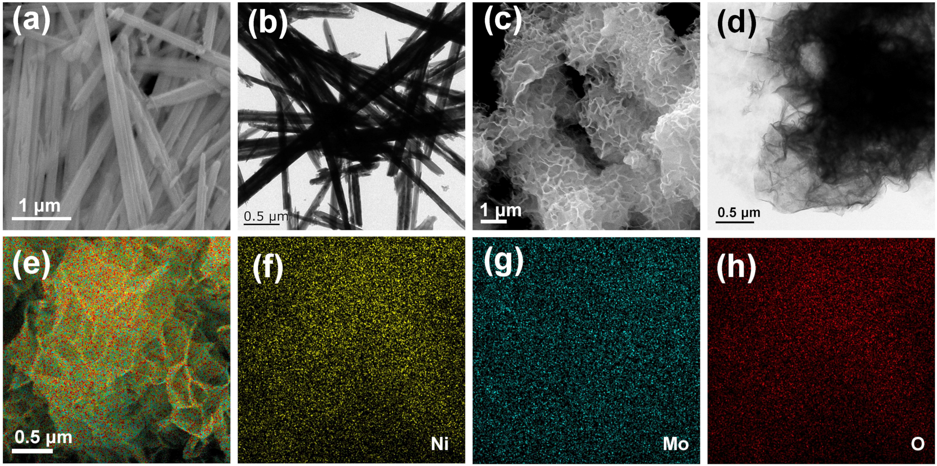 Nanomaterials 14 01798 g002