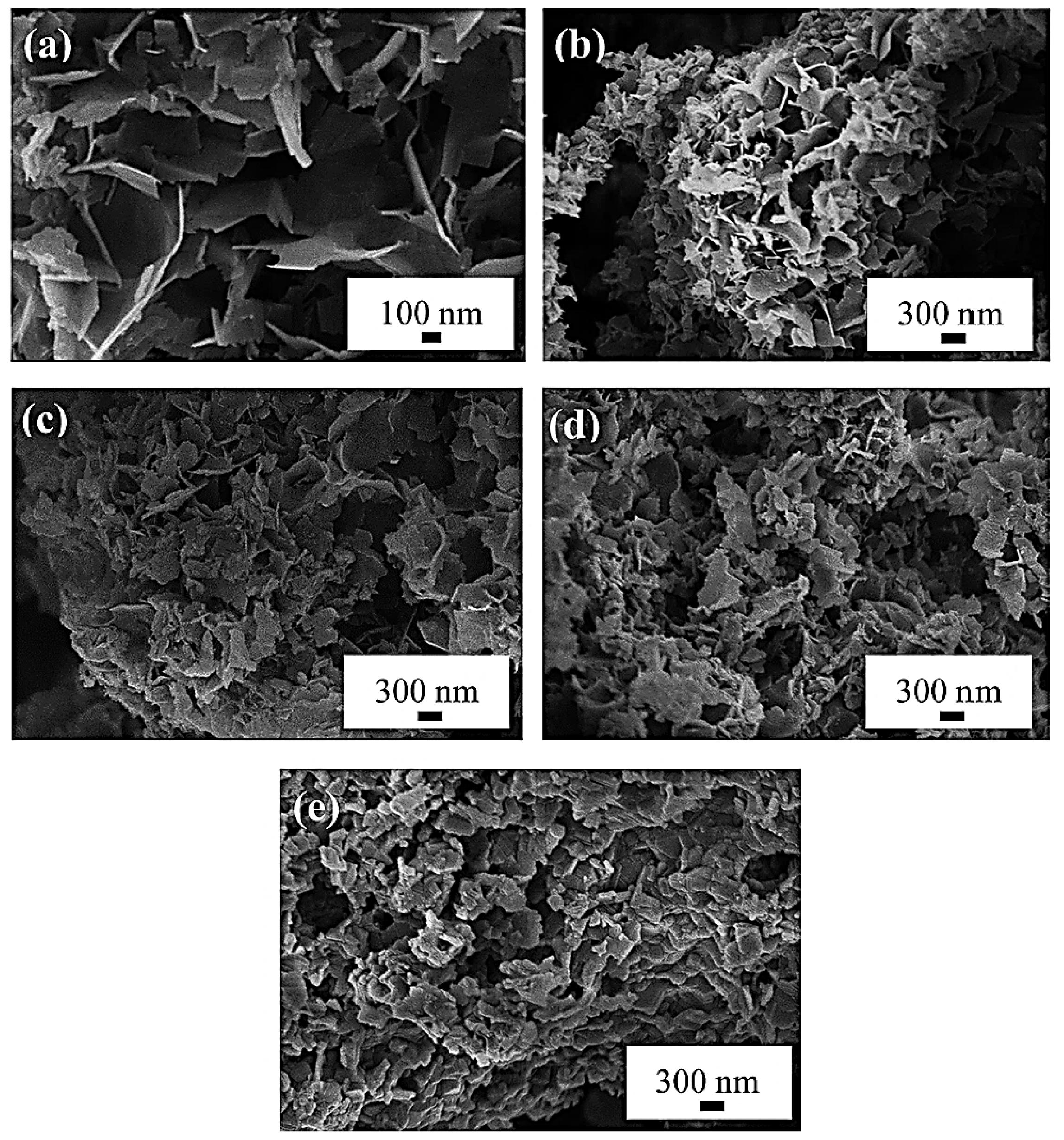 Nanomaterials 14 01799 g006